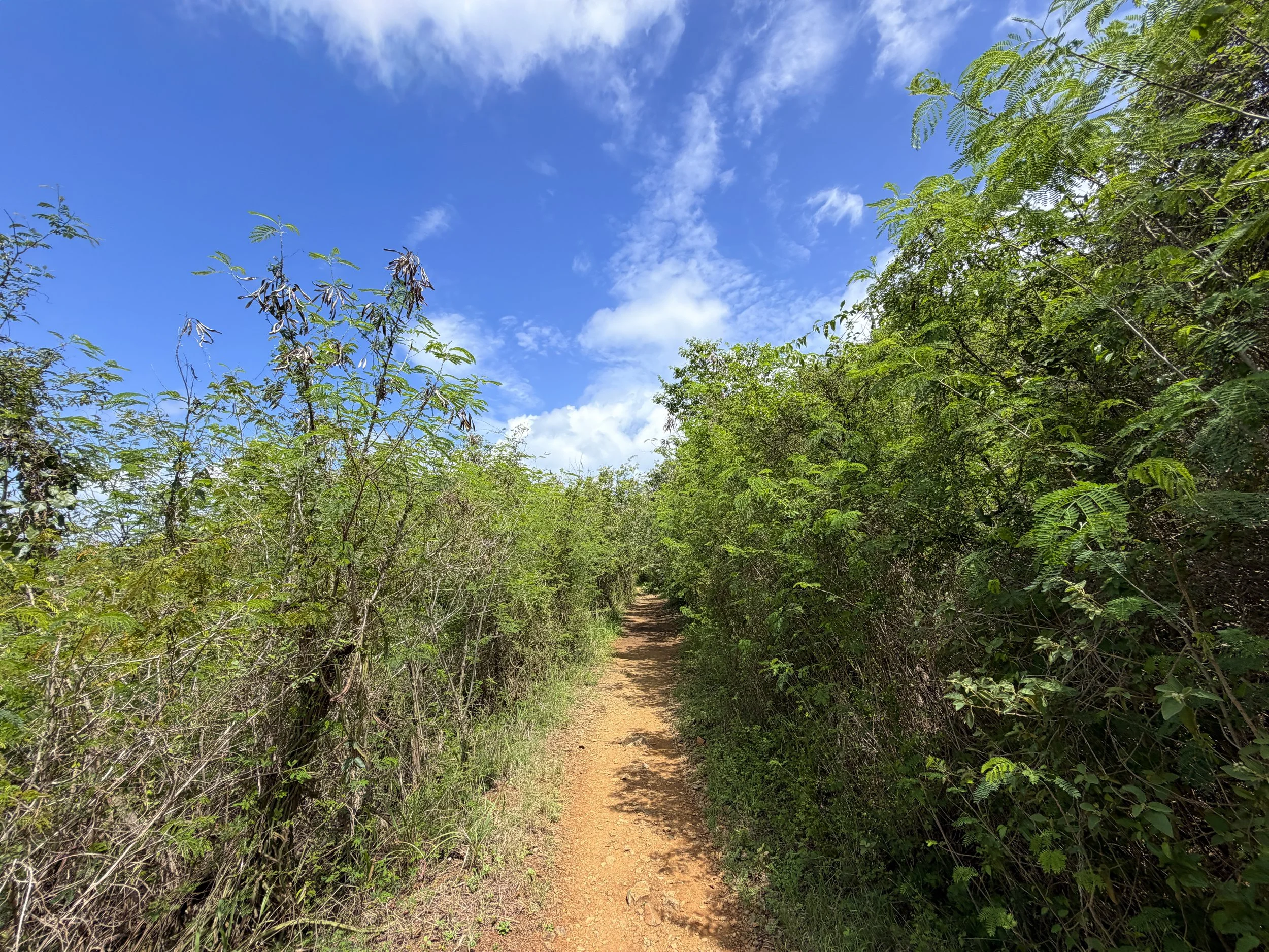 Lind Point Trail Virgin Islands National Park