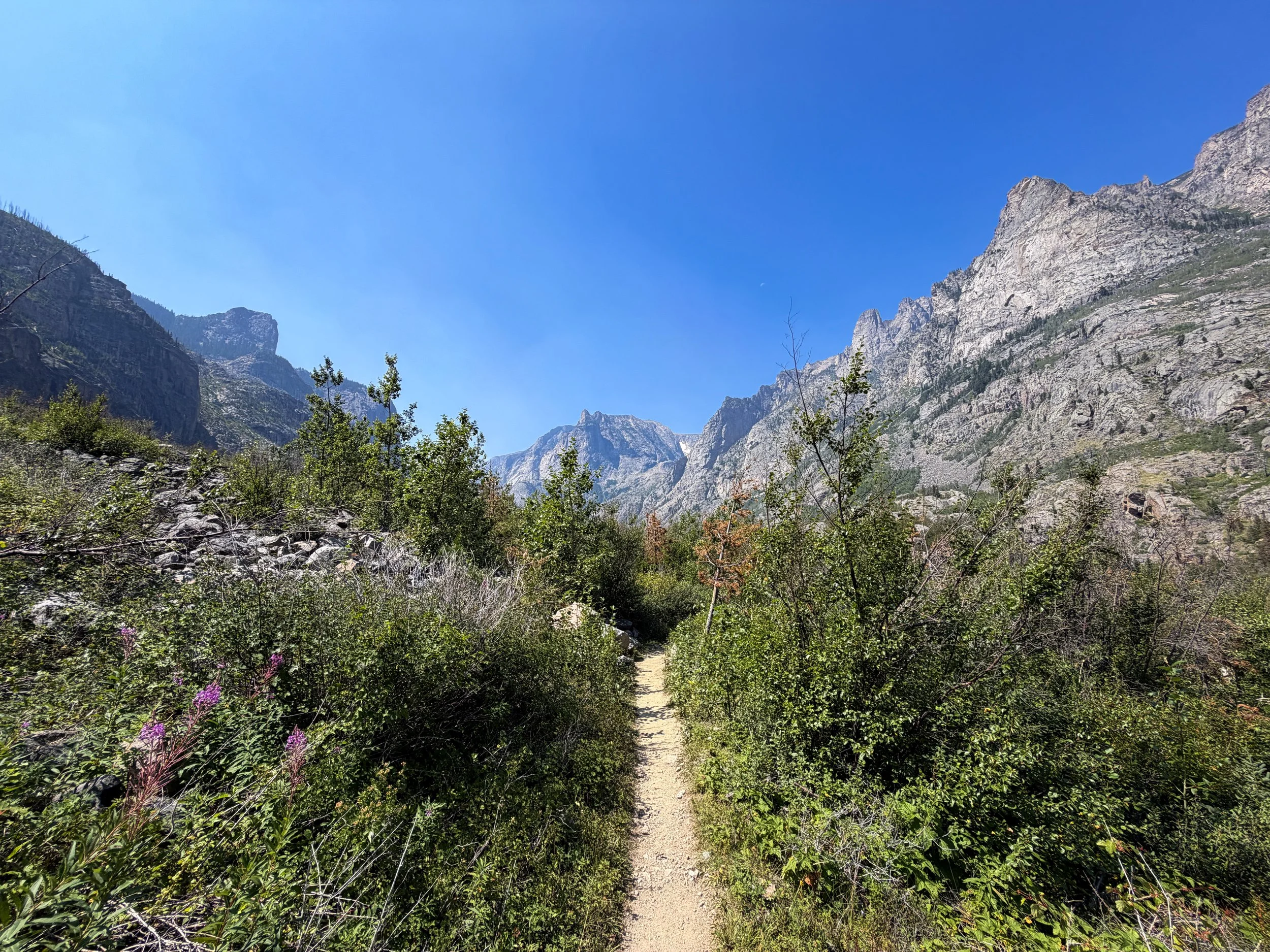 Beaten Path Hike Beartooth Mountains Montana