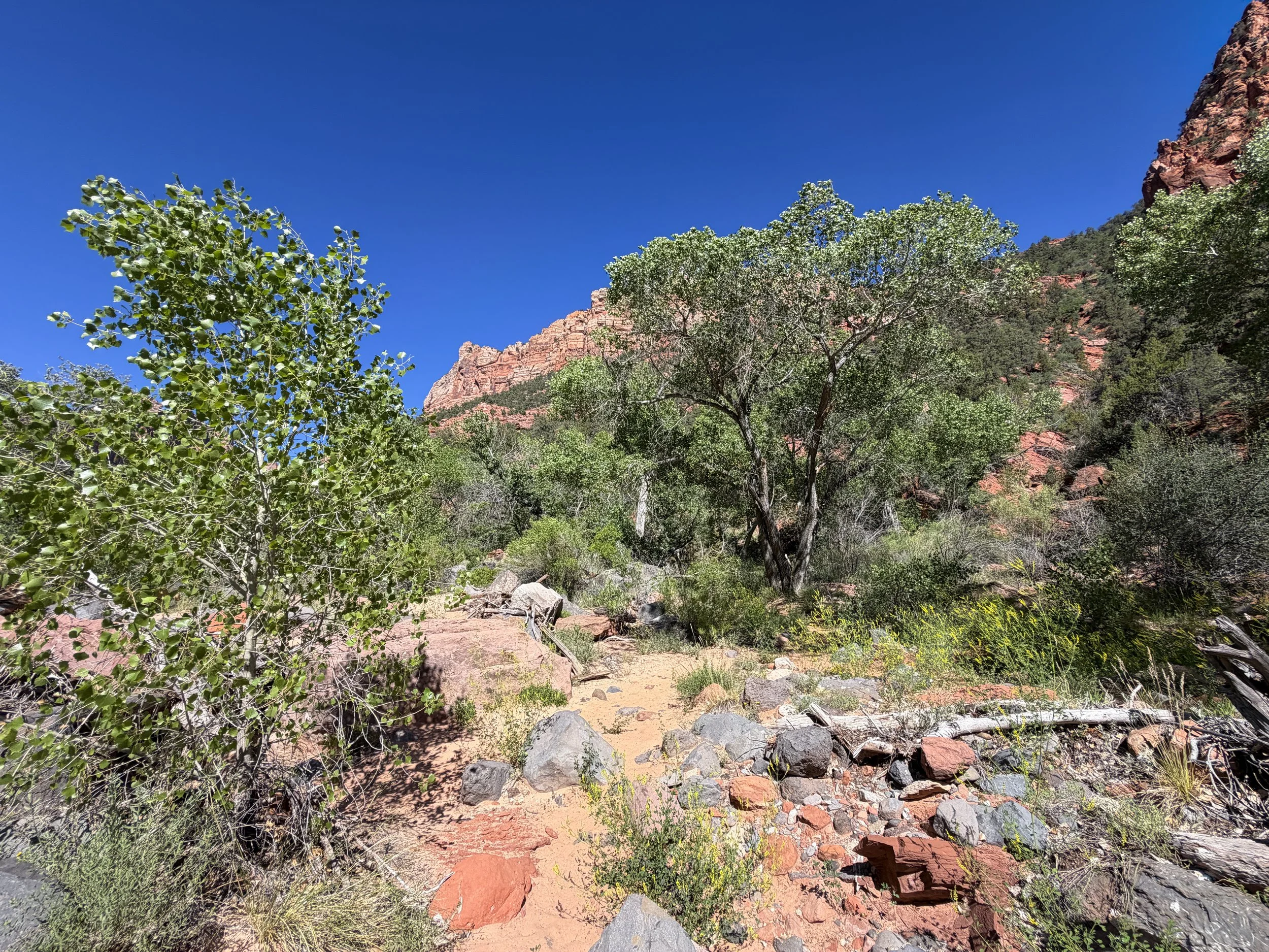 Subway Trail Bottom Up Route Zion National Park Utah