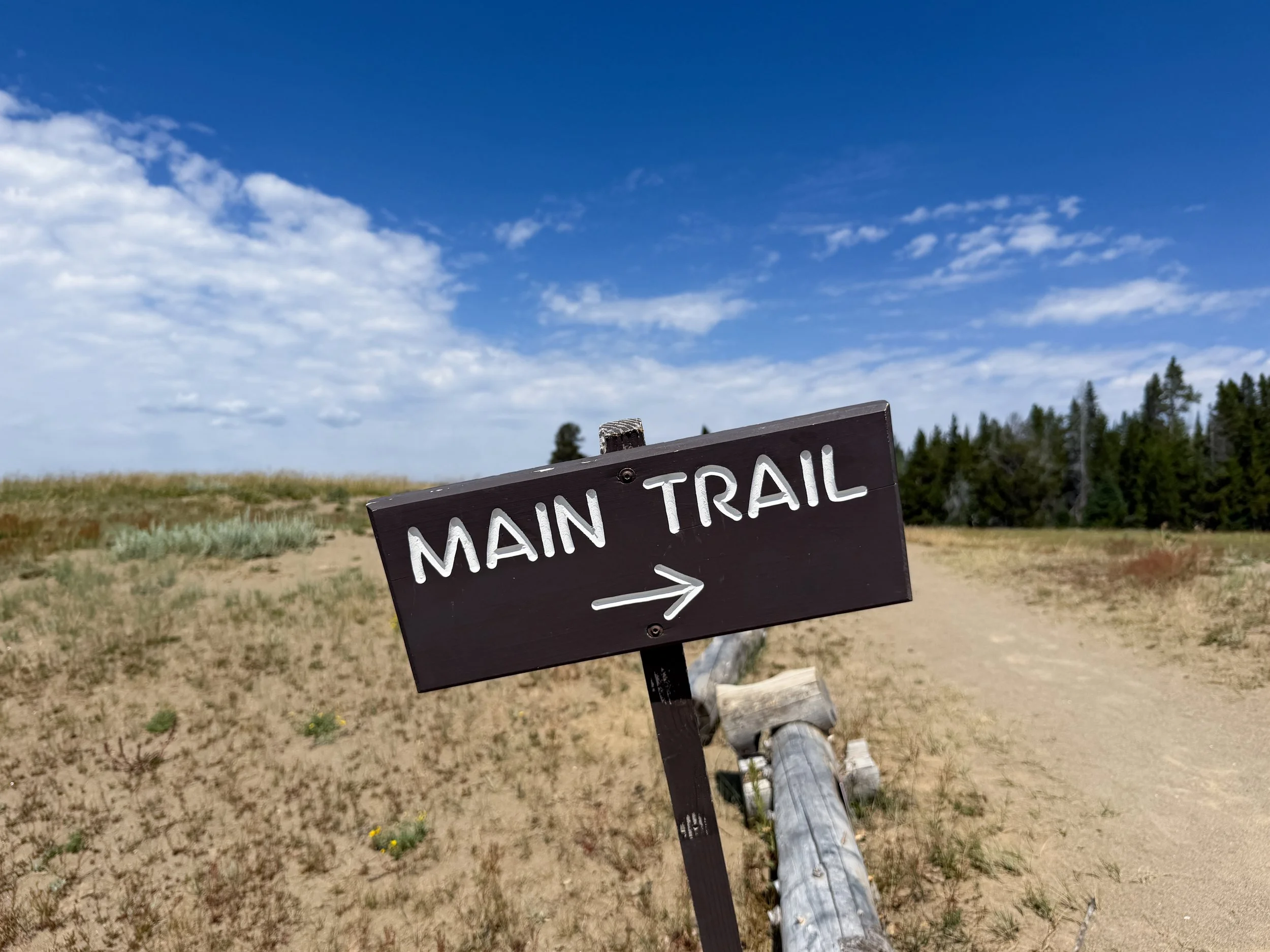 Storm Point Trail Yellowstone National Park Wyoming
