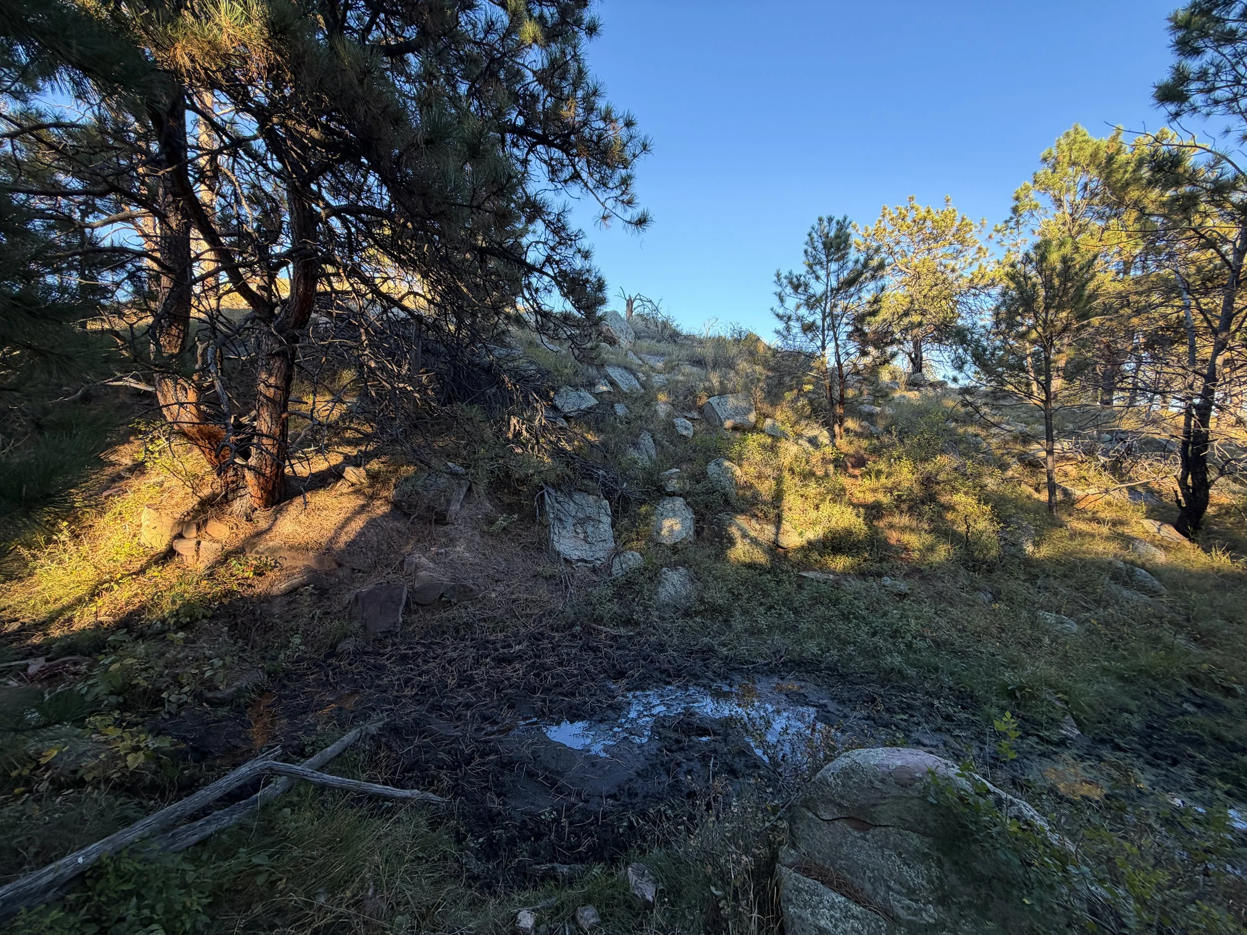 Boland Ridge Trail Wind Cave National Park South Dakota