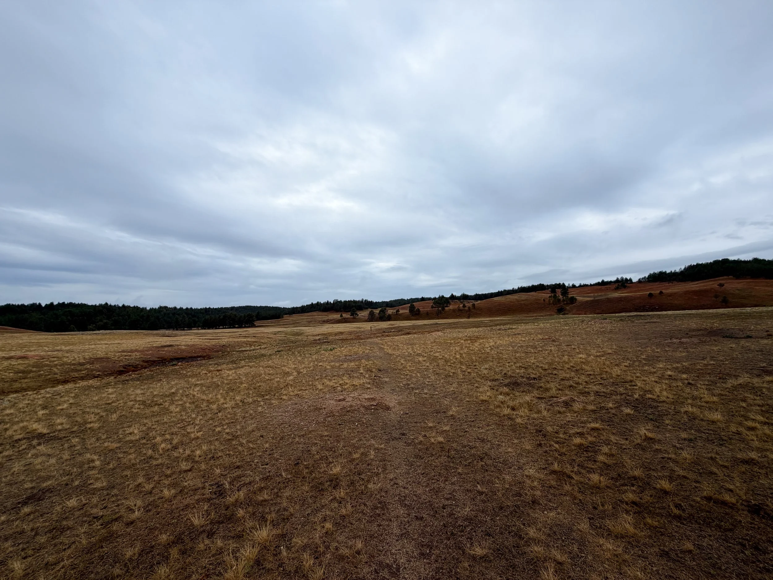 Highland Creek Trail Wind Cave National Park South Dakota