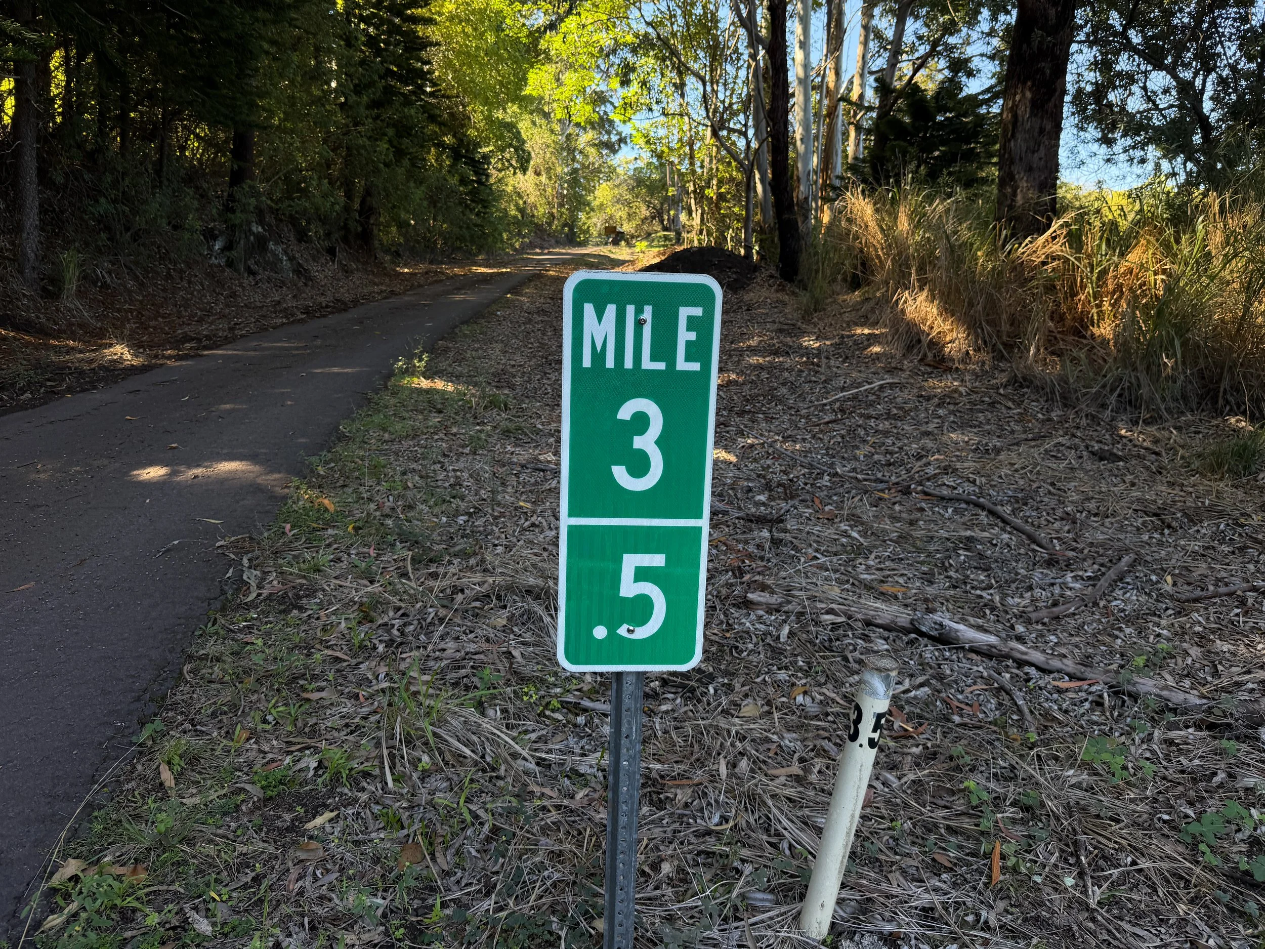 Mokuleia Forest Reserve Access Road to Peacock Flats Oahu Hawaii