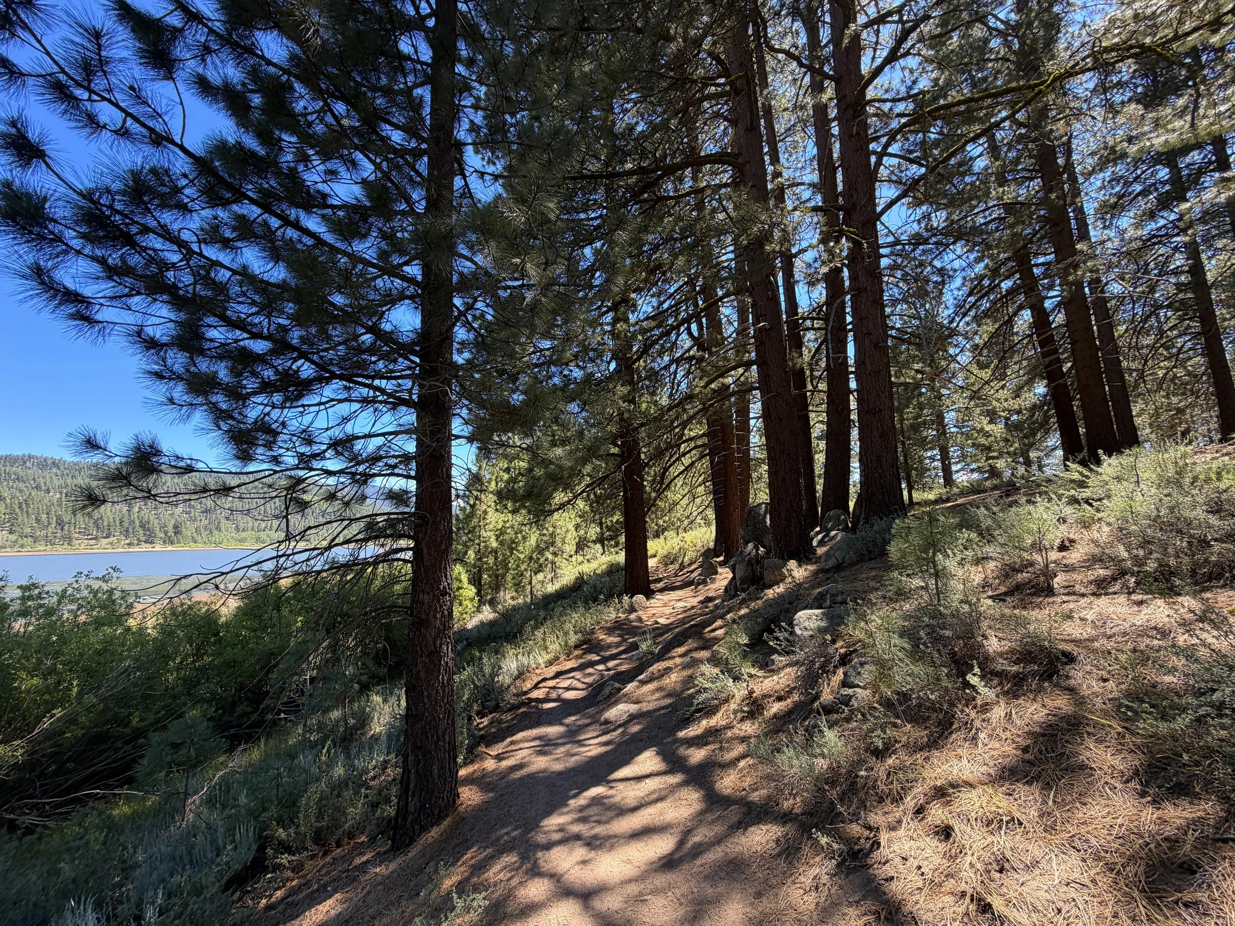 Spooner Lake Loop Trail Lake Tahoe Nevada