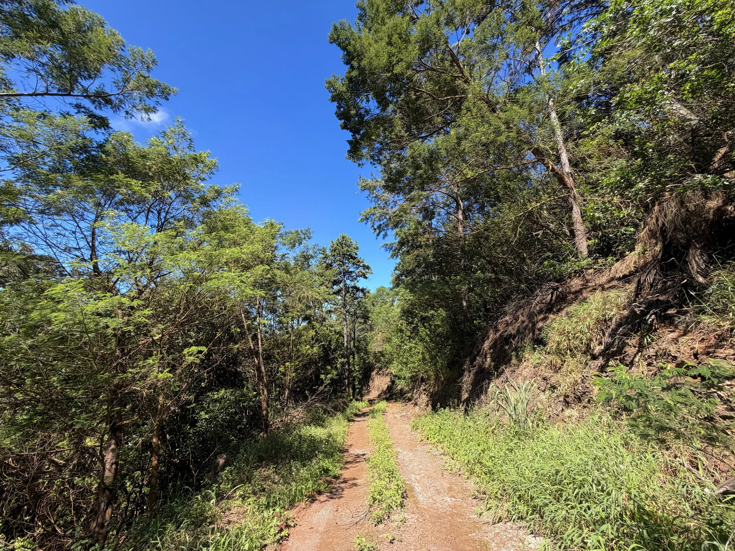 Kuaokala Trail Oahu Hawaii