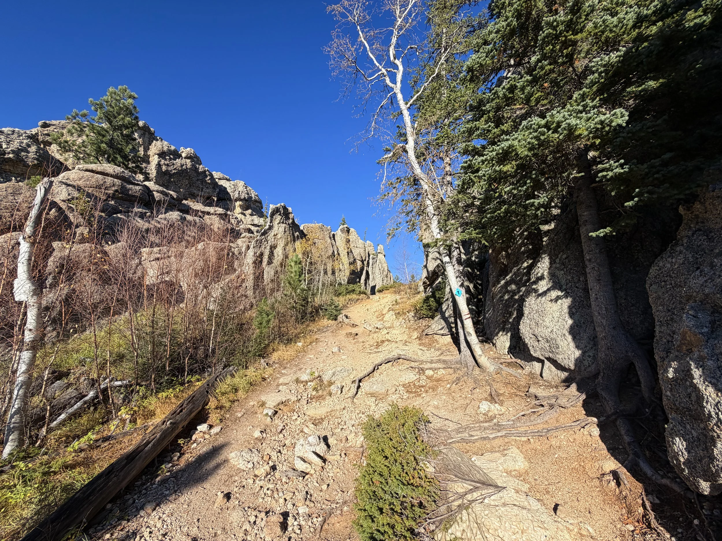 Little Devils Tower Trail Custer State Park Black Hills South Dakota