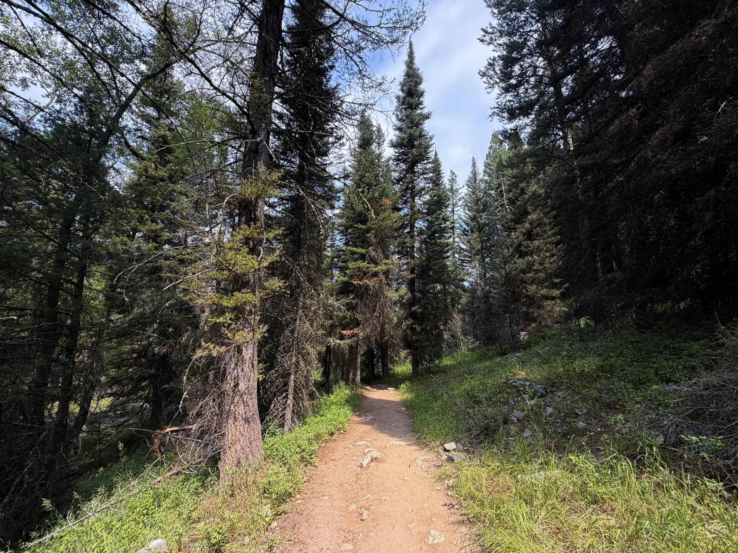 Phelps Lake Loop Hike Grand Teton National Park Wyoming