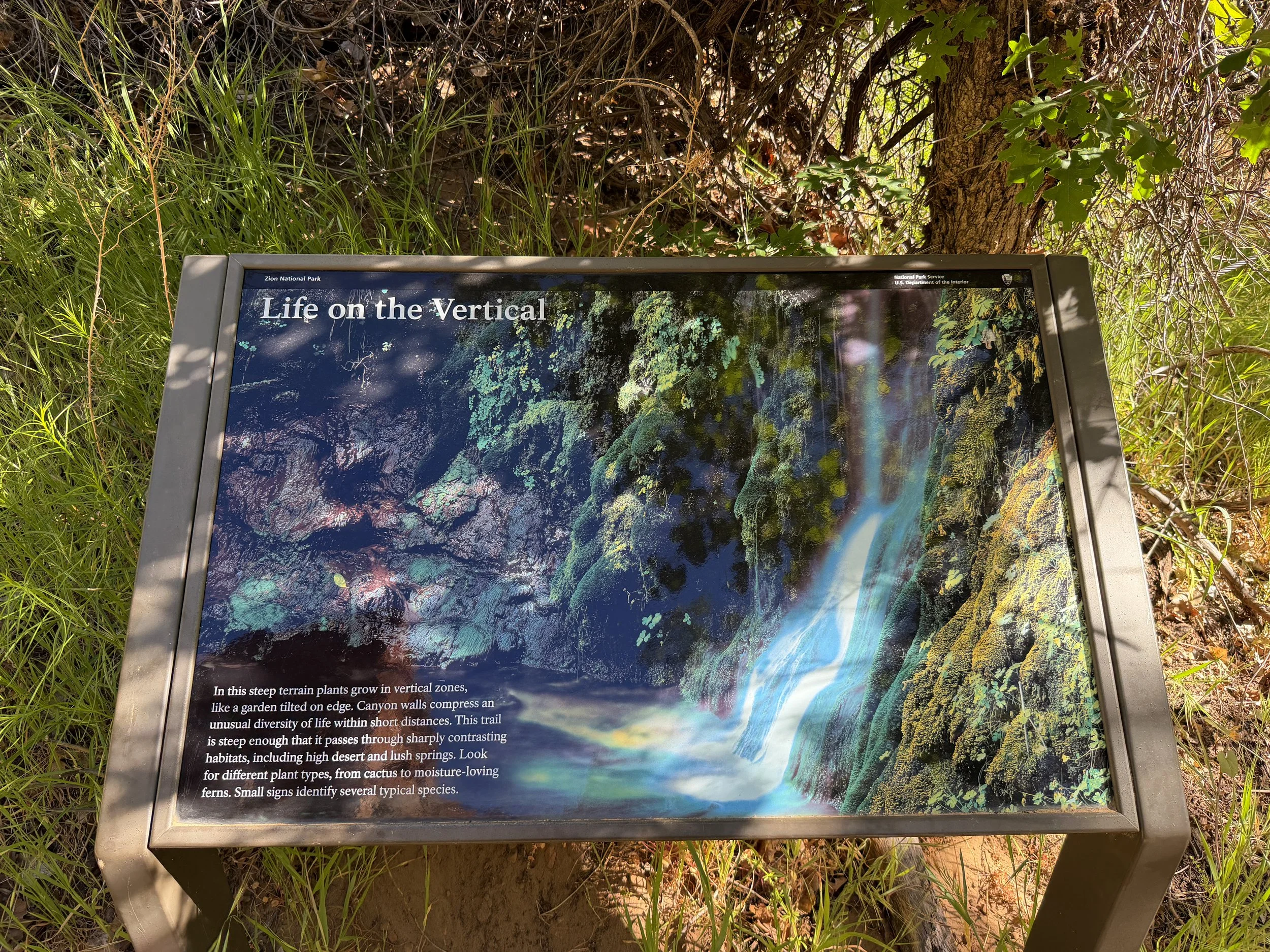 Weeping Rock Trail Zion National Park Utah