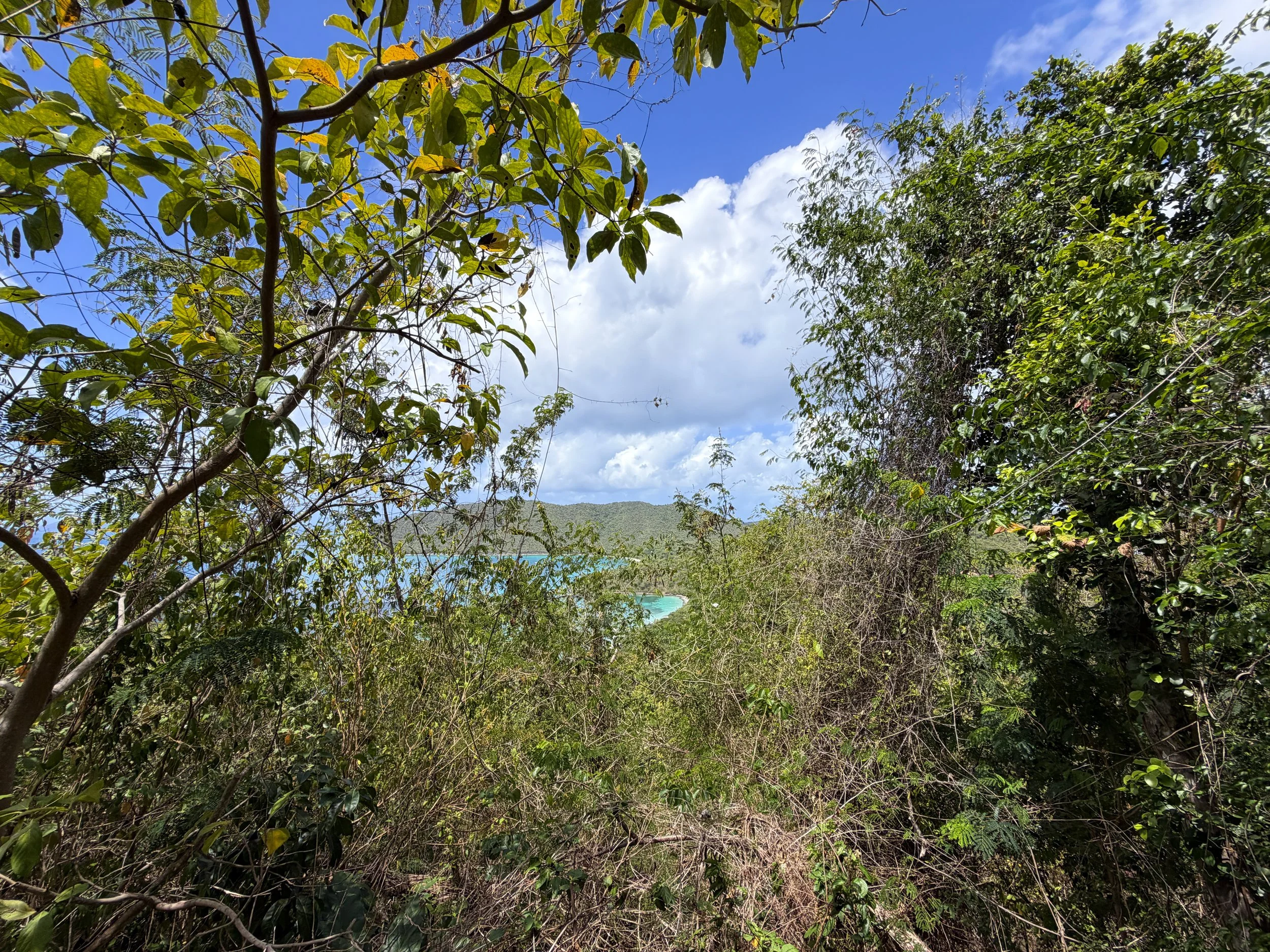 Maria Hope Trail Viewpoint Virgin Islands National Park