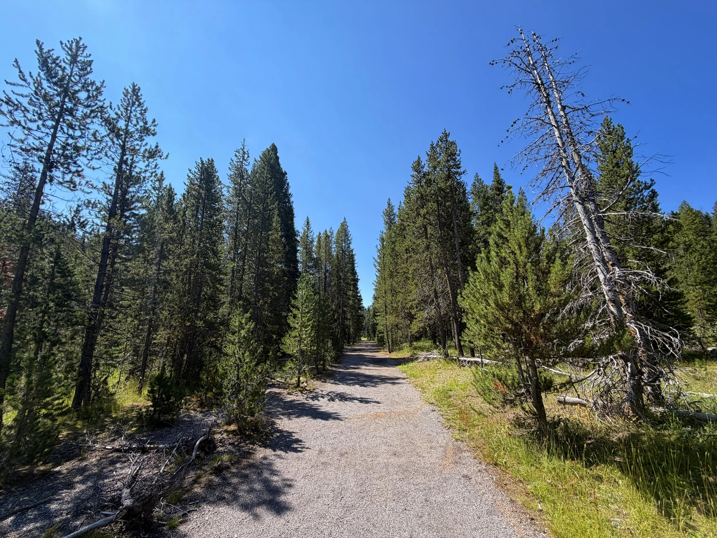Lone Star Geyser Hike Yellowstone National Park Wyoming