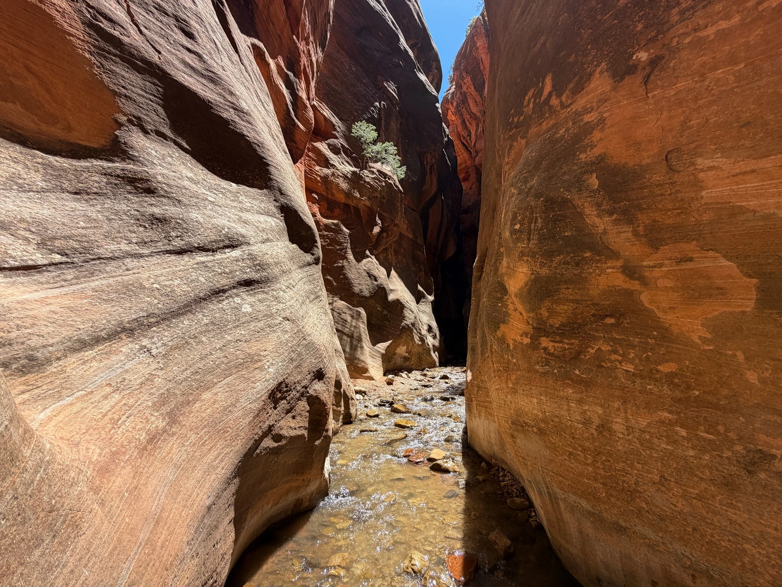 Kanarra Falls Trail Narrows Kanarraville Utah