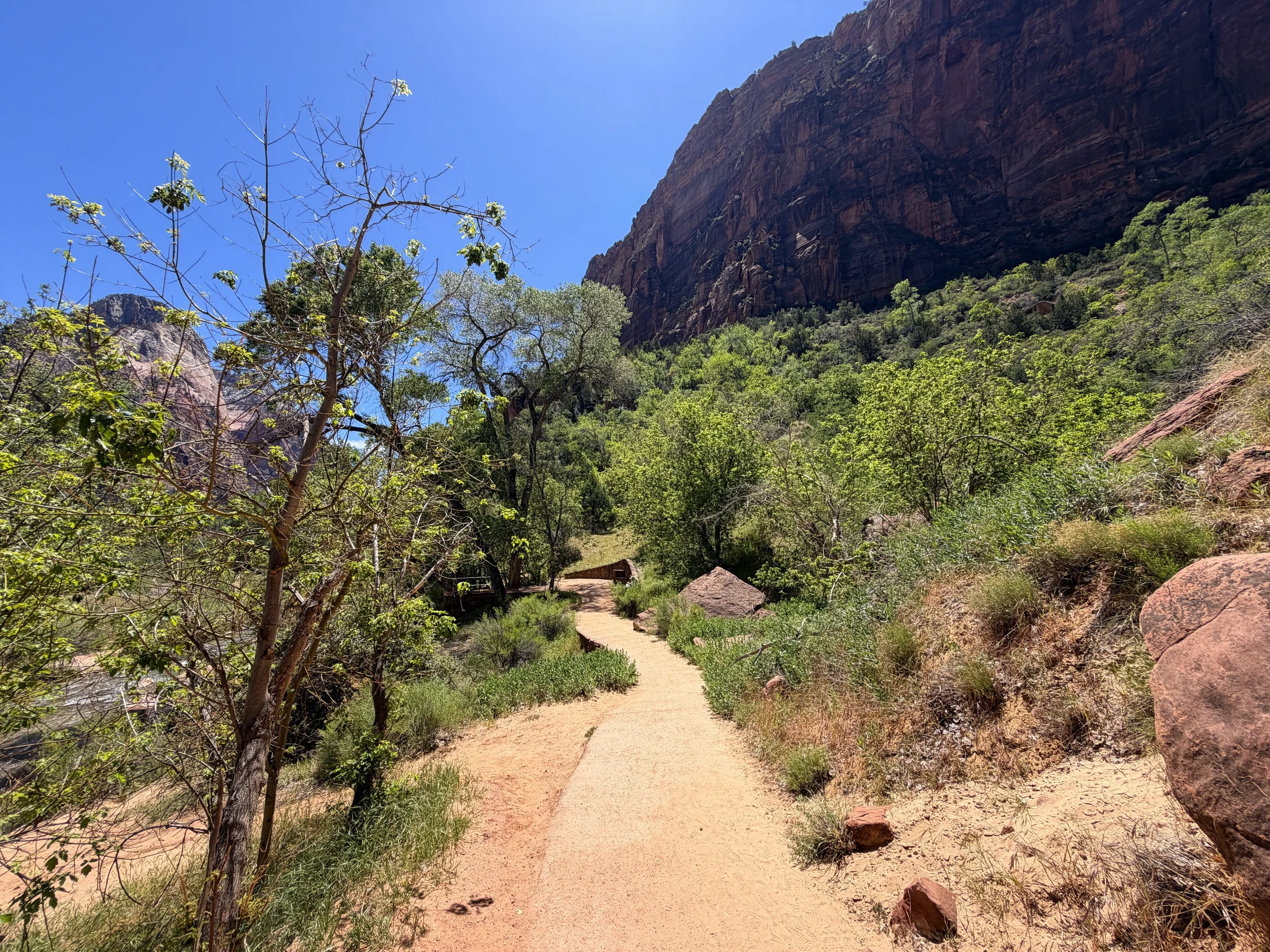 Sand Bench Trail via Emerald Pools Trail Zion National Park Utah