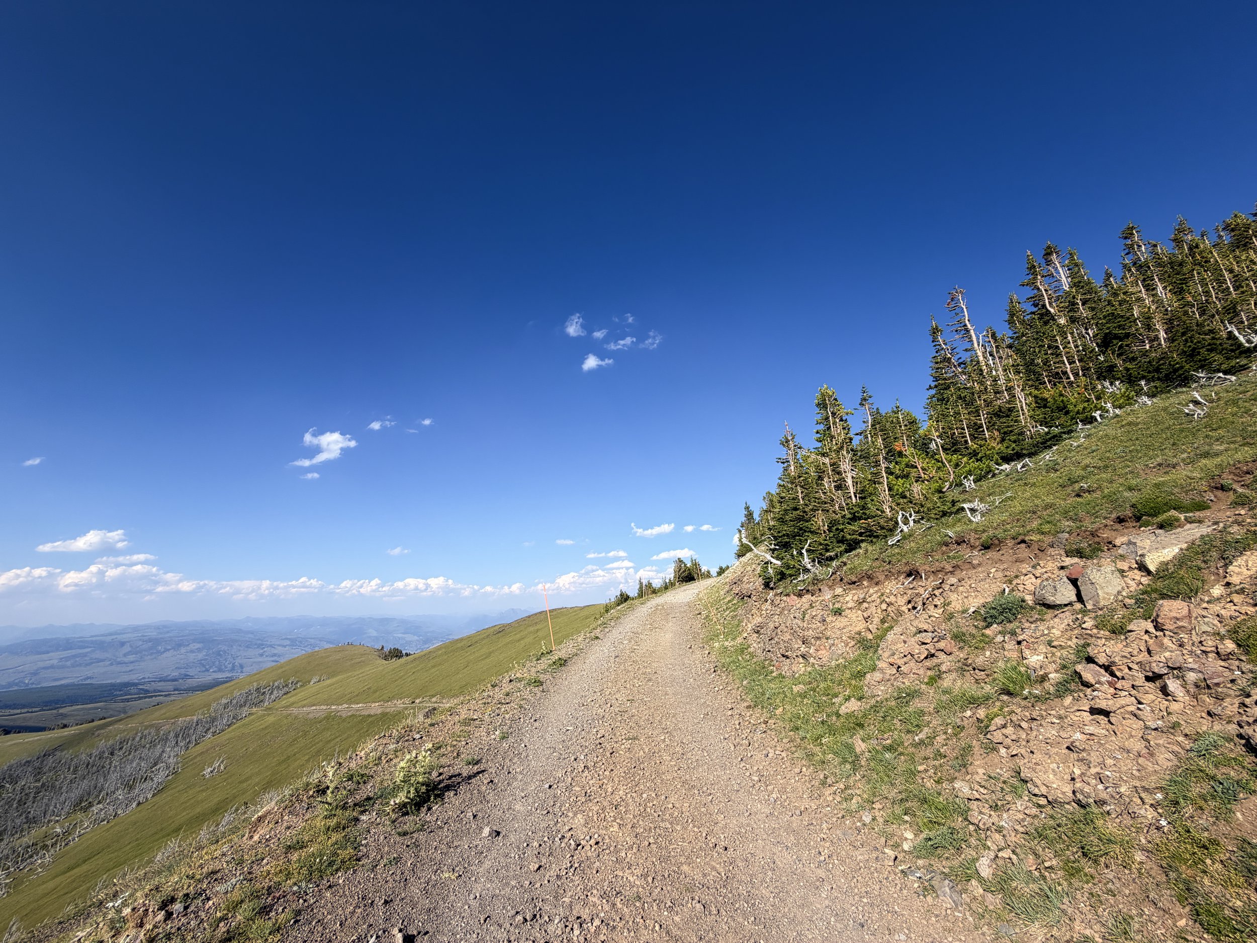 Mount Washburn via Chittenden Road Yellowstone National Park Wyoming