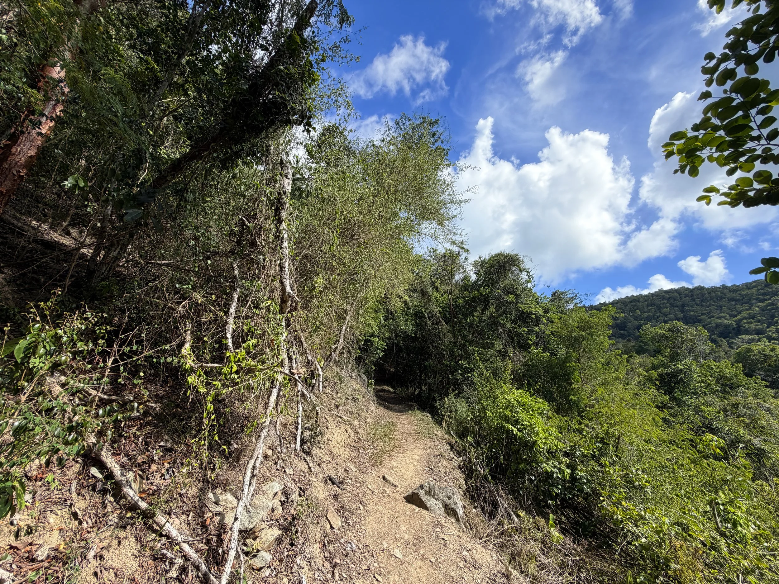 Cinnamon Bay Trail Virgin Islands National Park