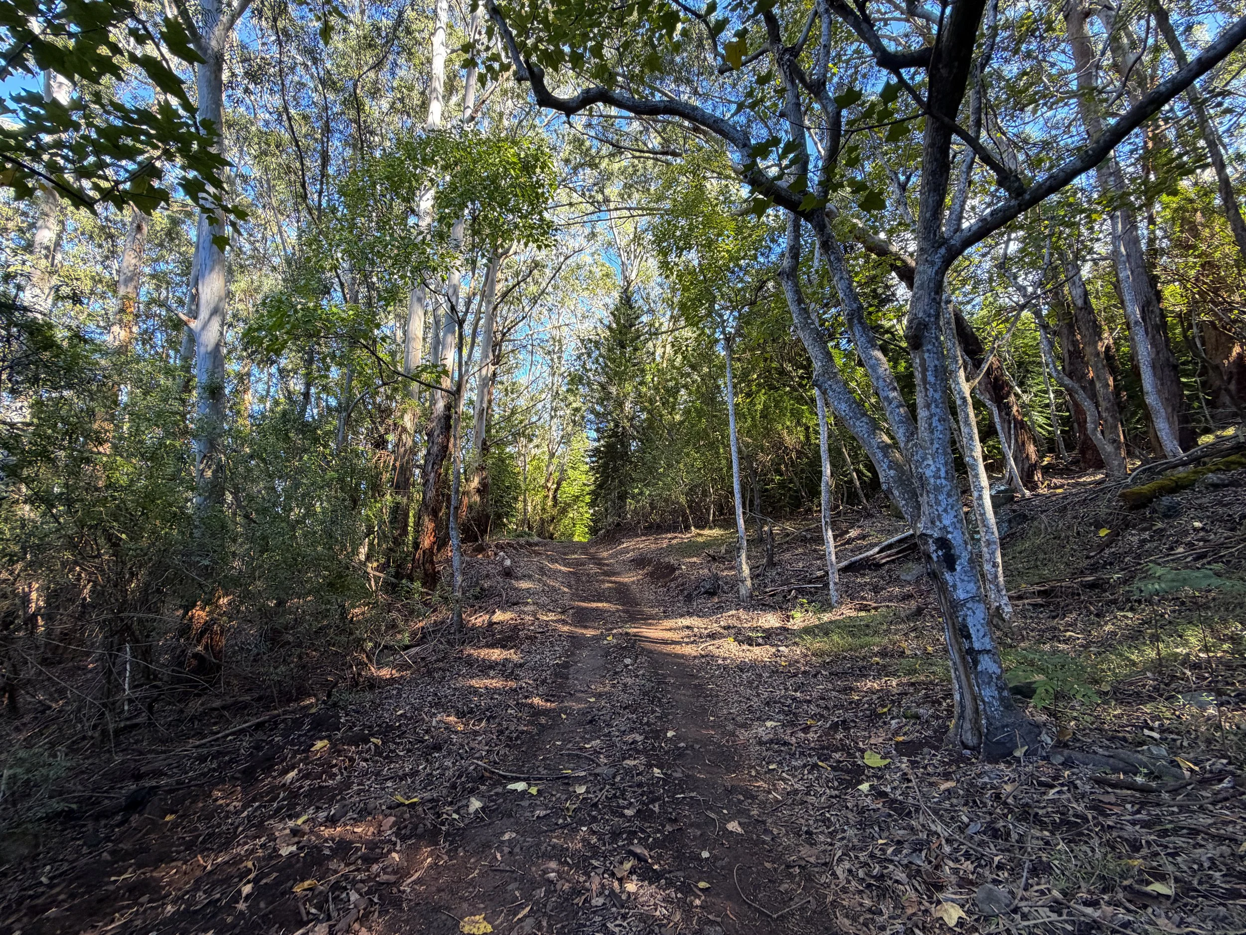Peacock Flats Road to Mokuleia Trail Oahu Hawaii