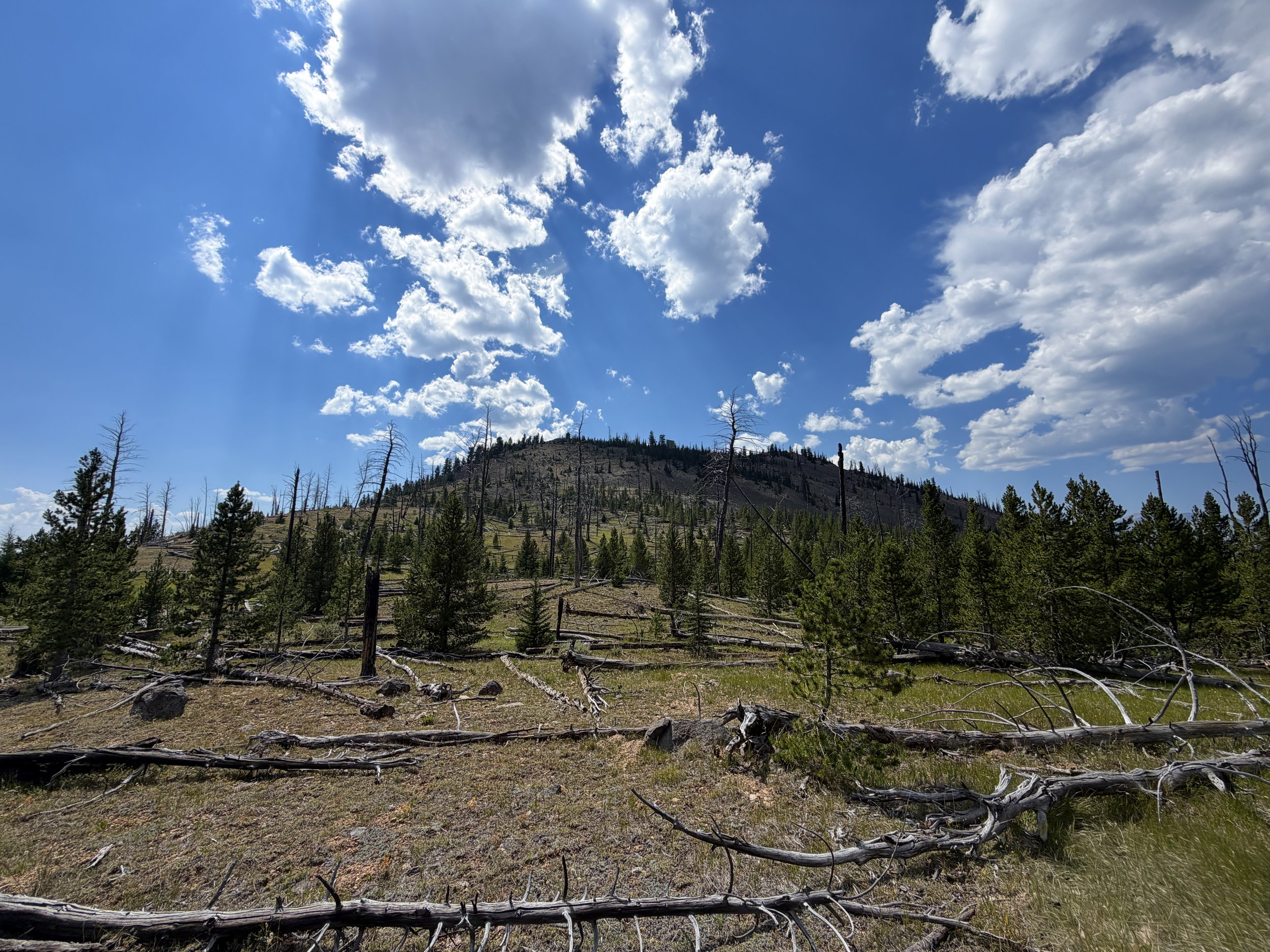 Bunsen Peak Trail to Osprey Falls Yellowstone National Park Wyoming