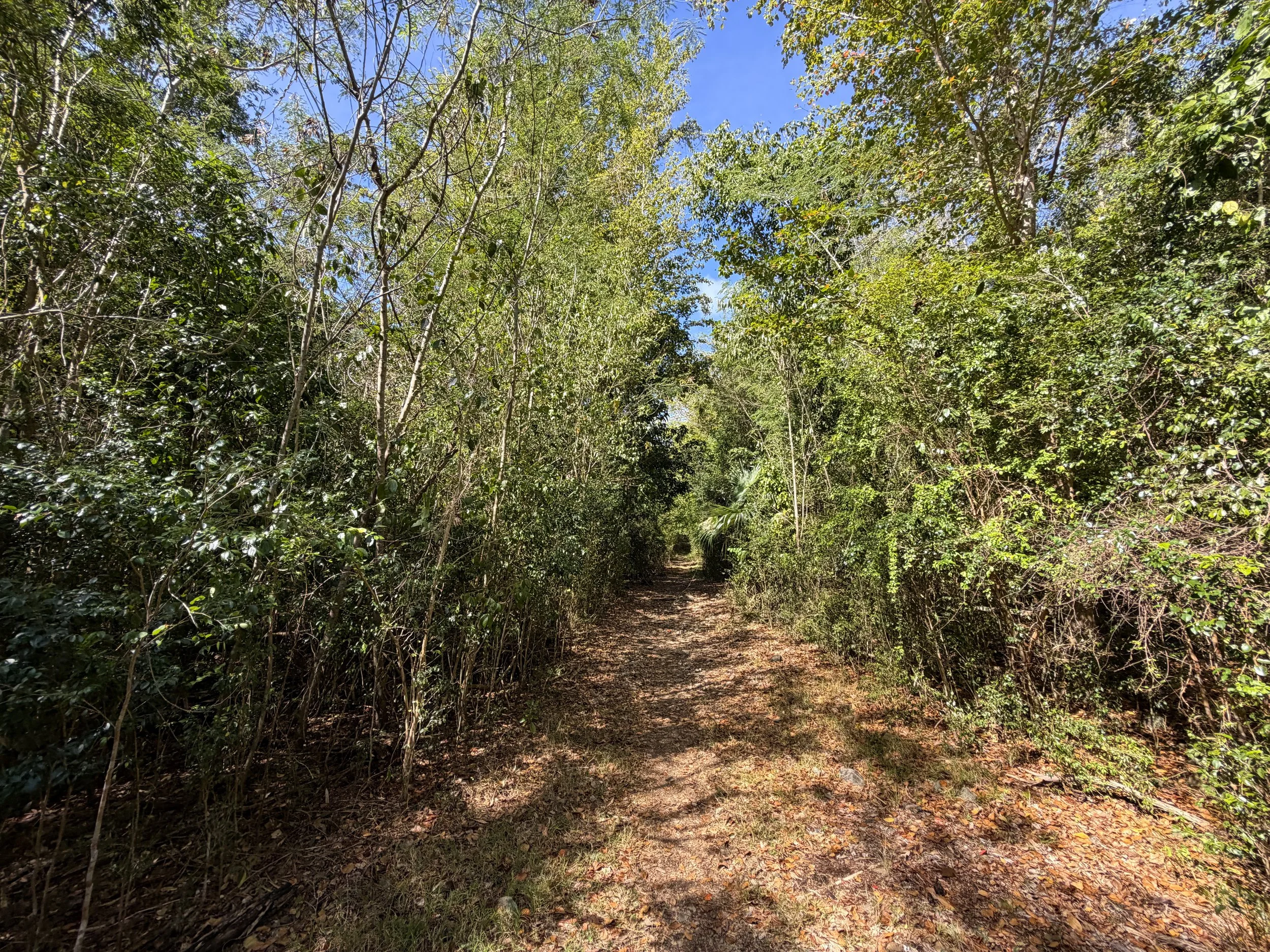 Lameshur Bay Trail Virgin Islands National Park