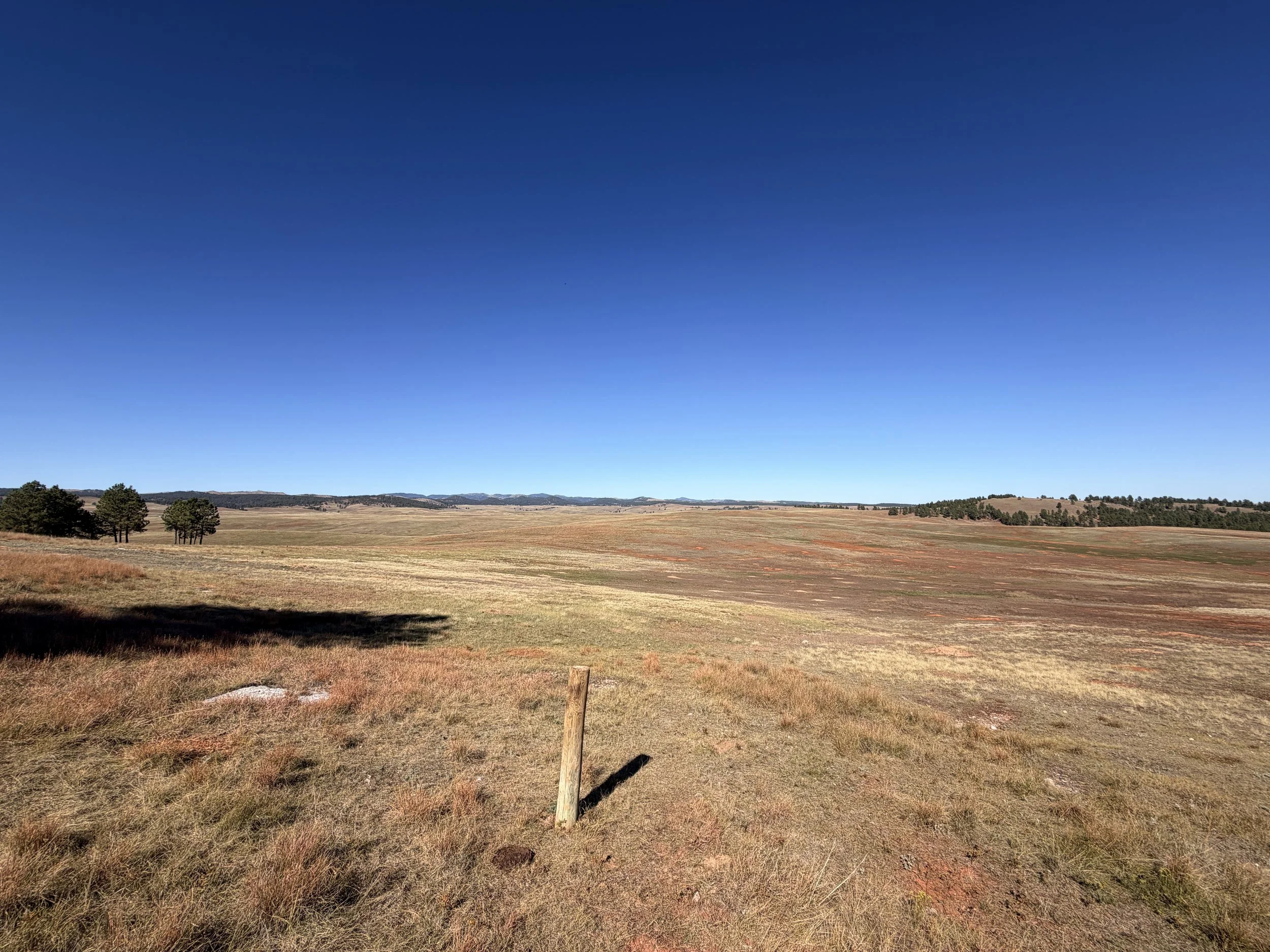 East Bison Flats Hike Wind Cave National Park South Dakota