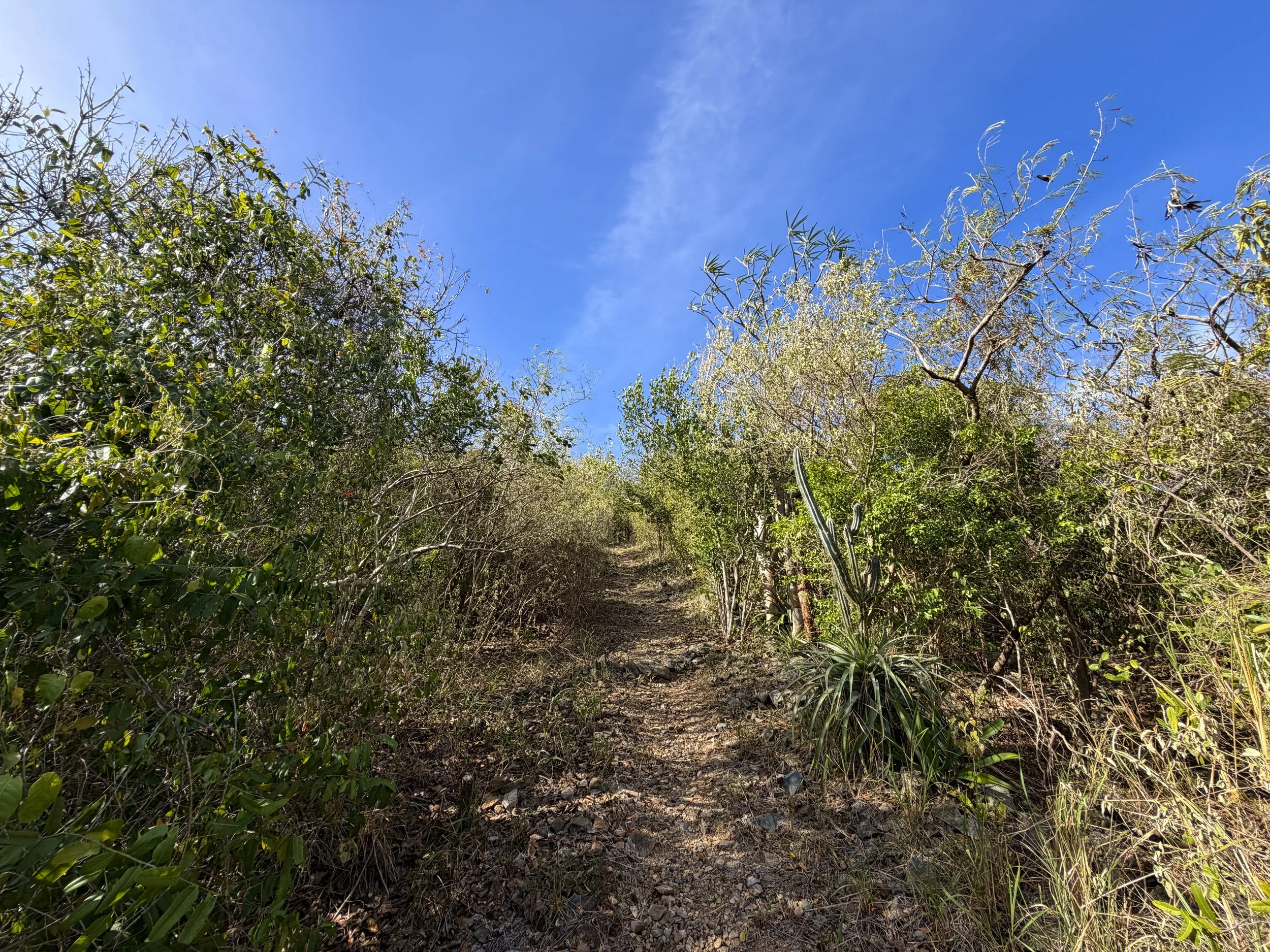 Tektite Trail Virgin Islands National Park