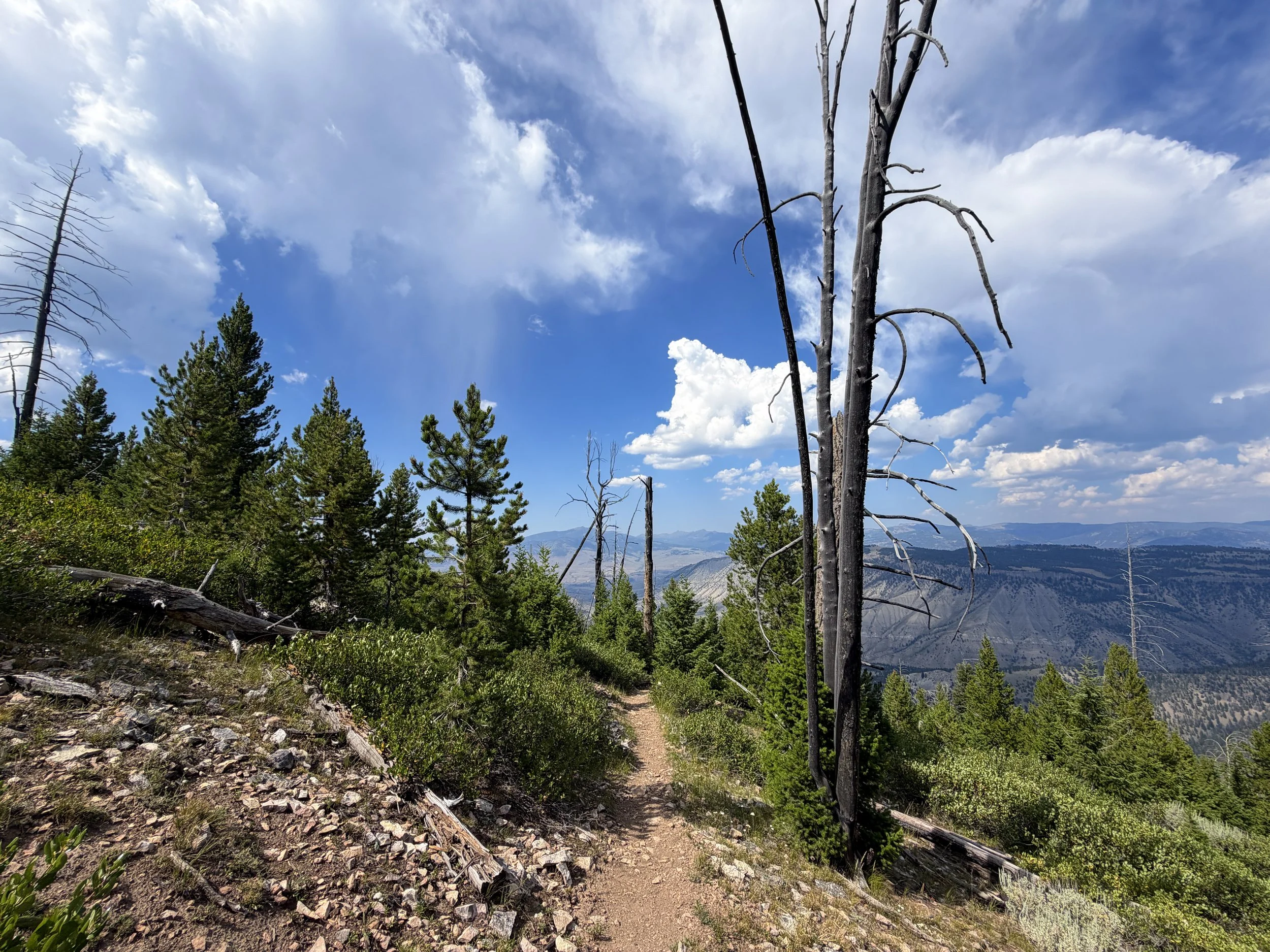 Bunsen Peak Trail Yellowstone National Park Wyoming