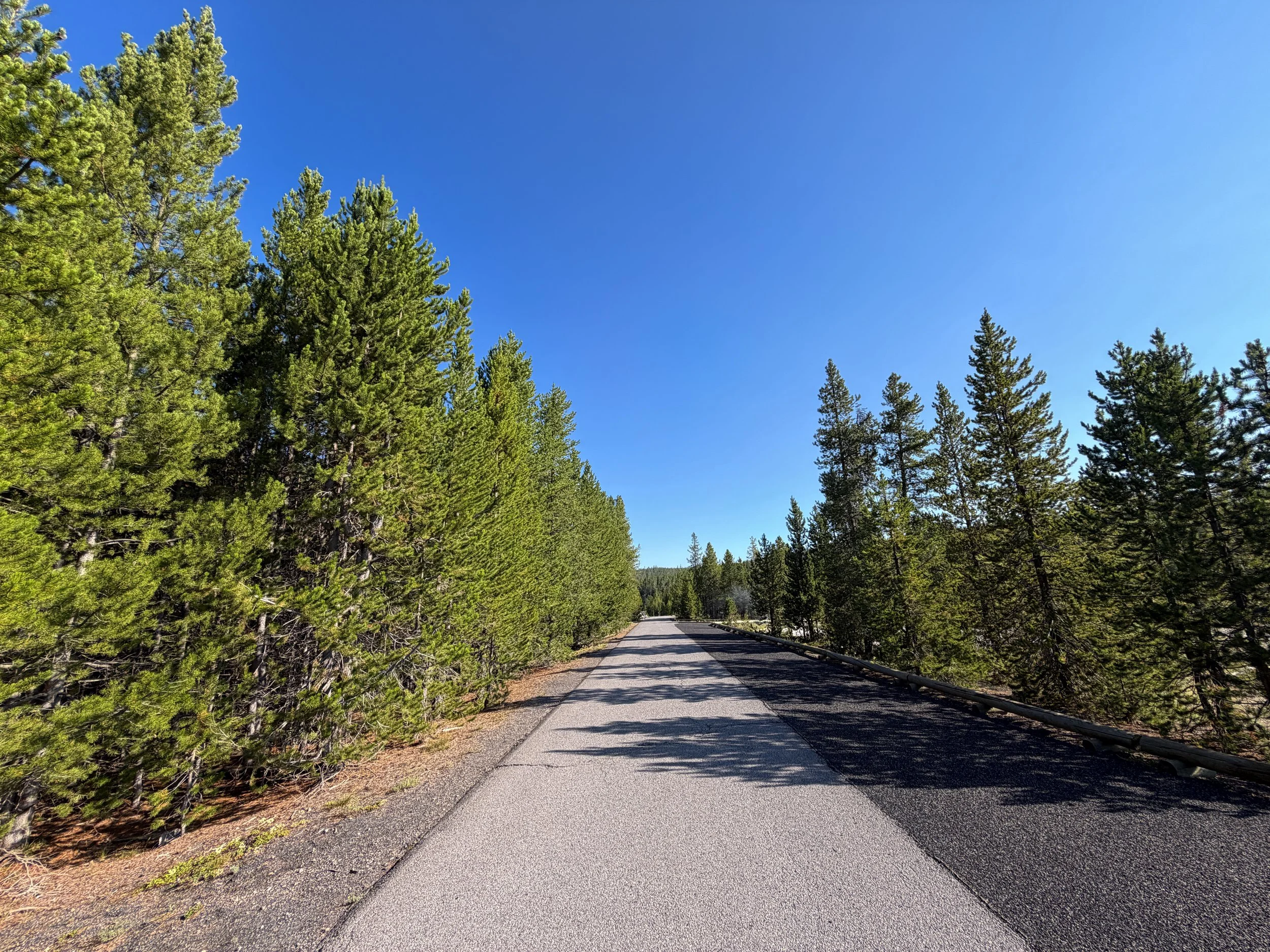 Upper Geyser Basin Trail Yellowstone National Park Wyoming