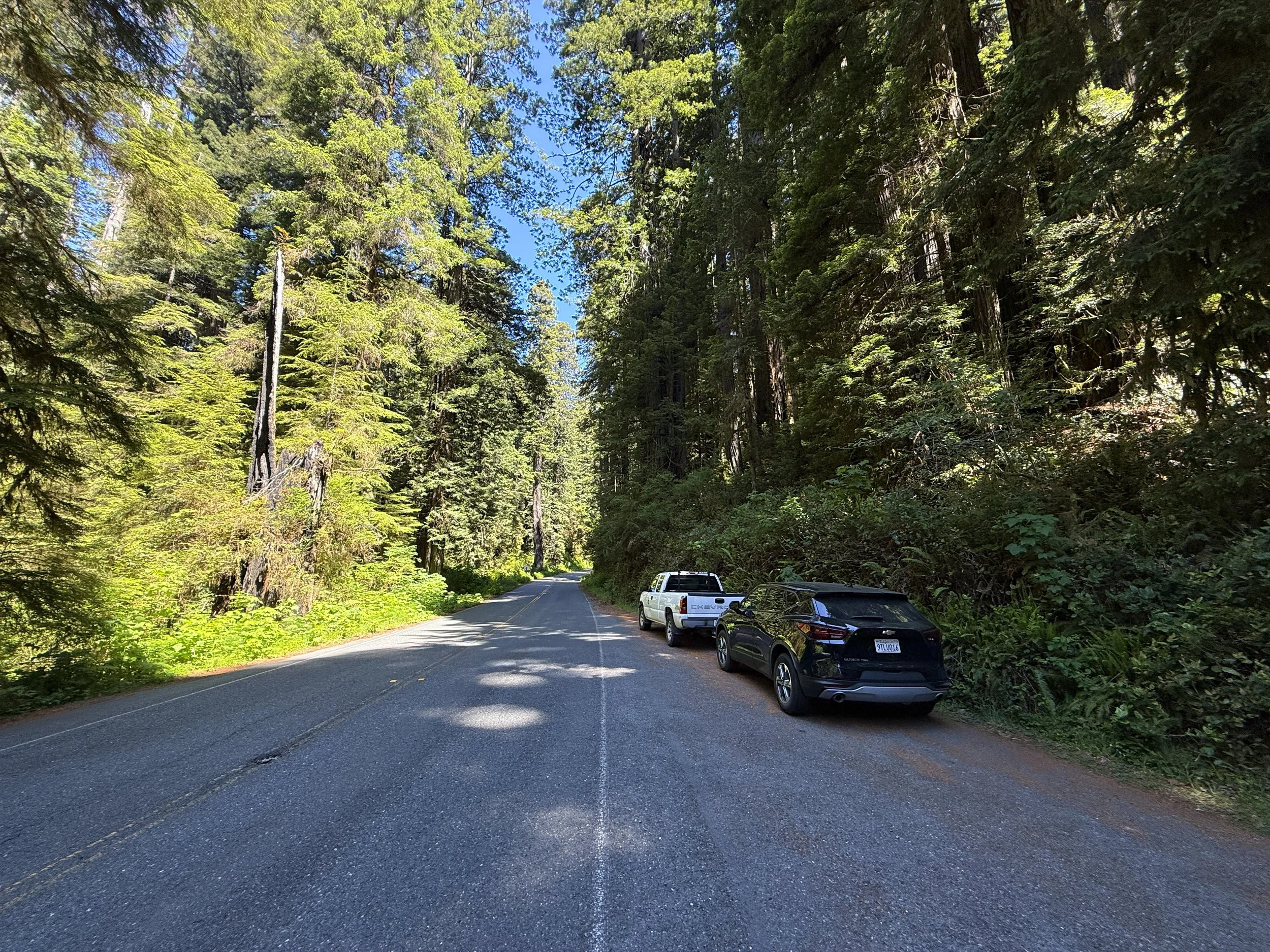 Ossagon Trailhead Parking Prairie Creek Redwoods State Park California