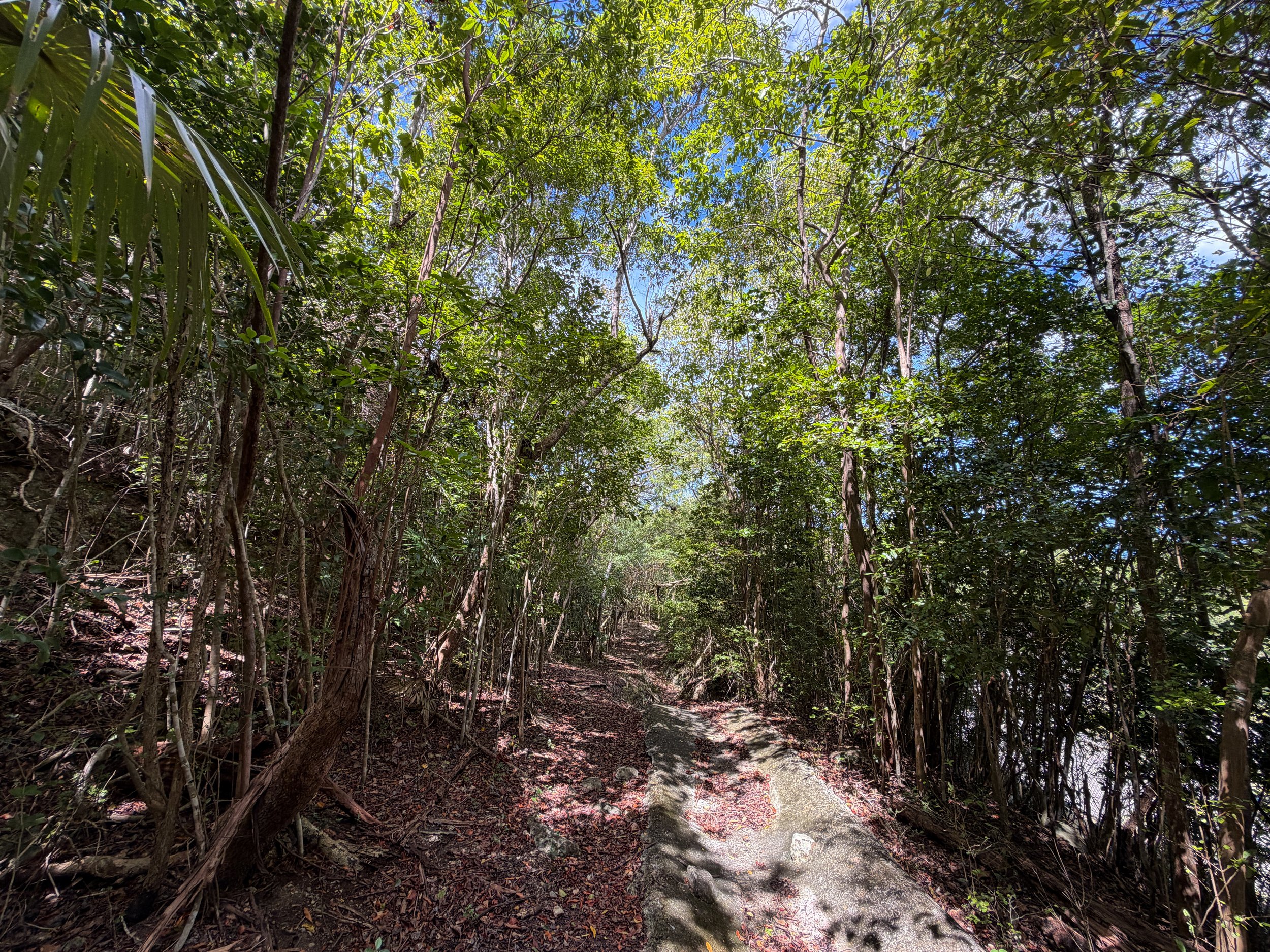 Water Catchment Trail Virgin Islands National Park