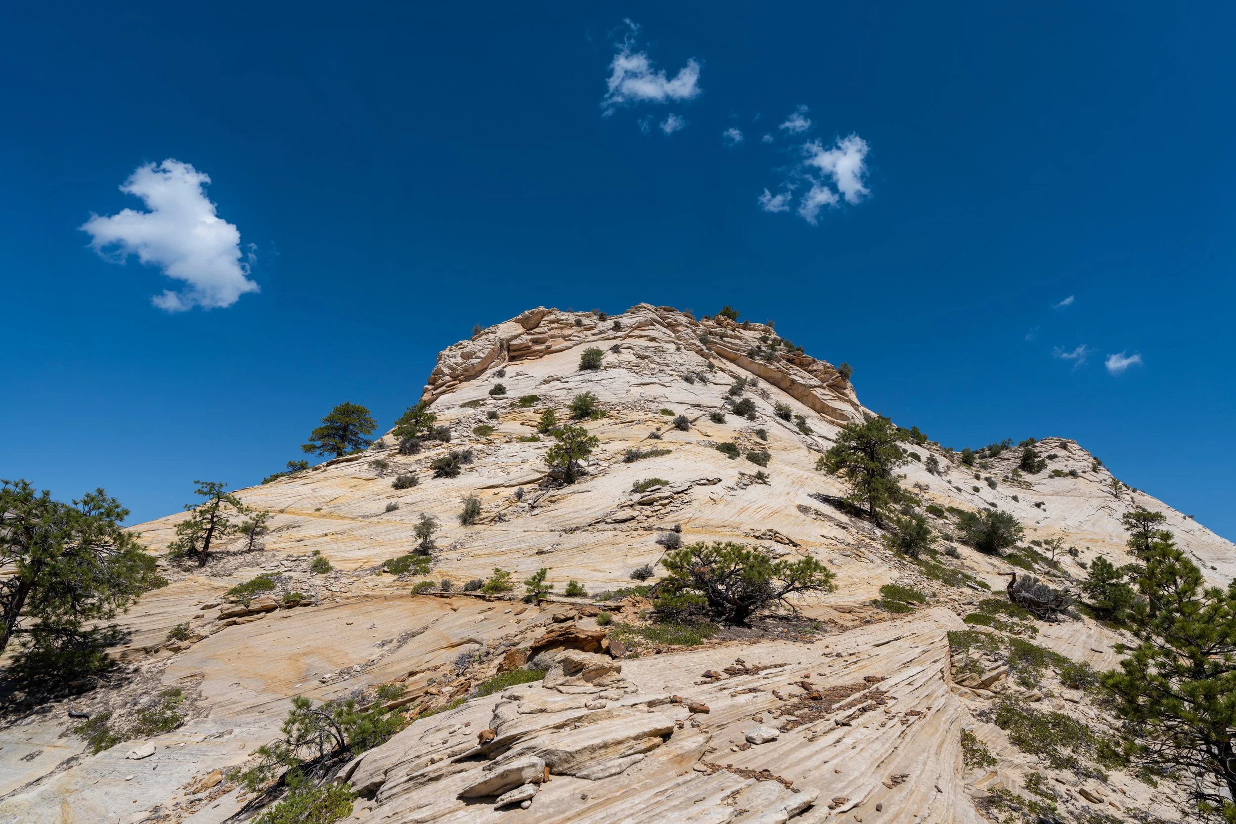 South Ariel Peak Trail Zion National Park Utah