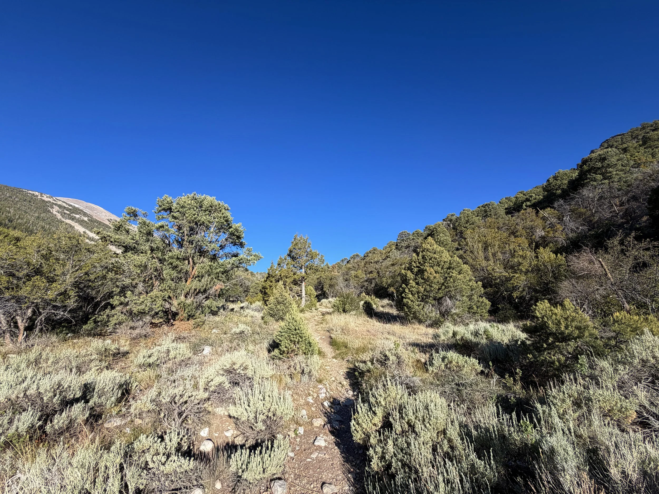 Lehman Creek Trail Great Basin National Park Nevada