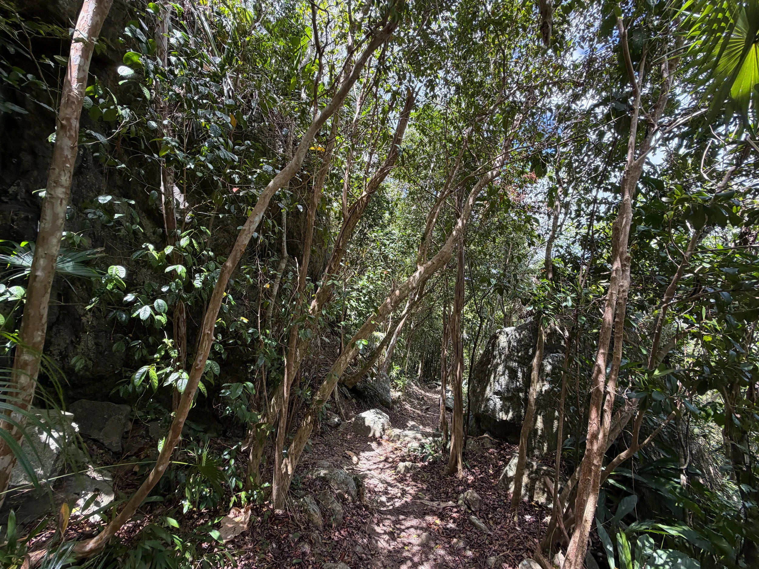 Maria Hope Hike Virgin Islands National Park