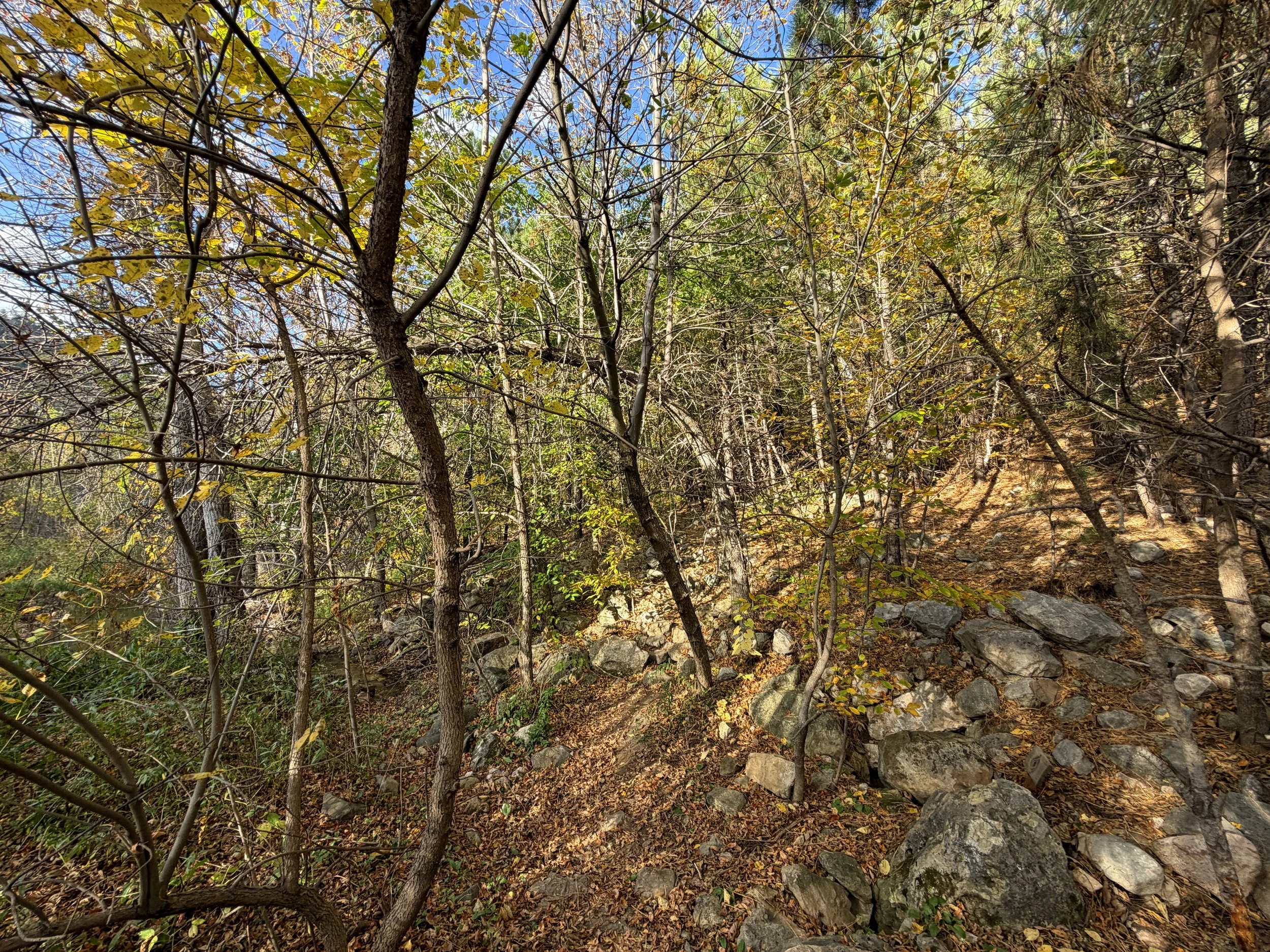 Community Caves Trail Spearfish Canyon Black Hills South Dakota