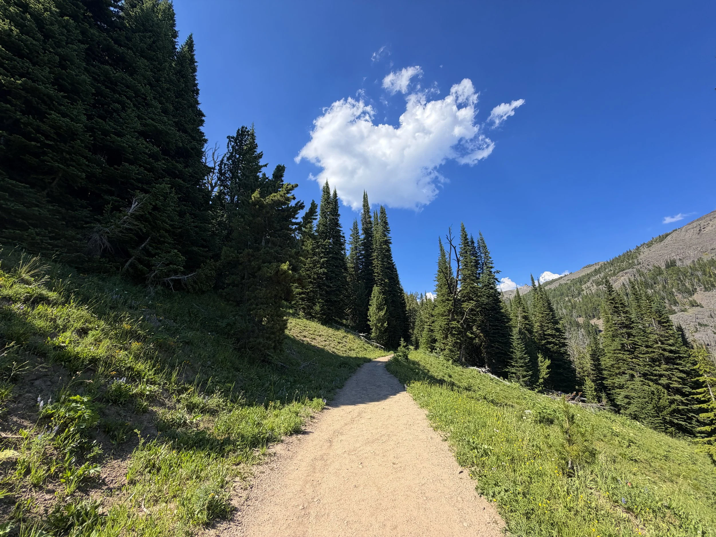Mount Washburn Trail via Dunraven Pass Yellowstone National Park Wyoming