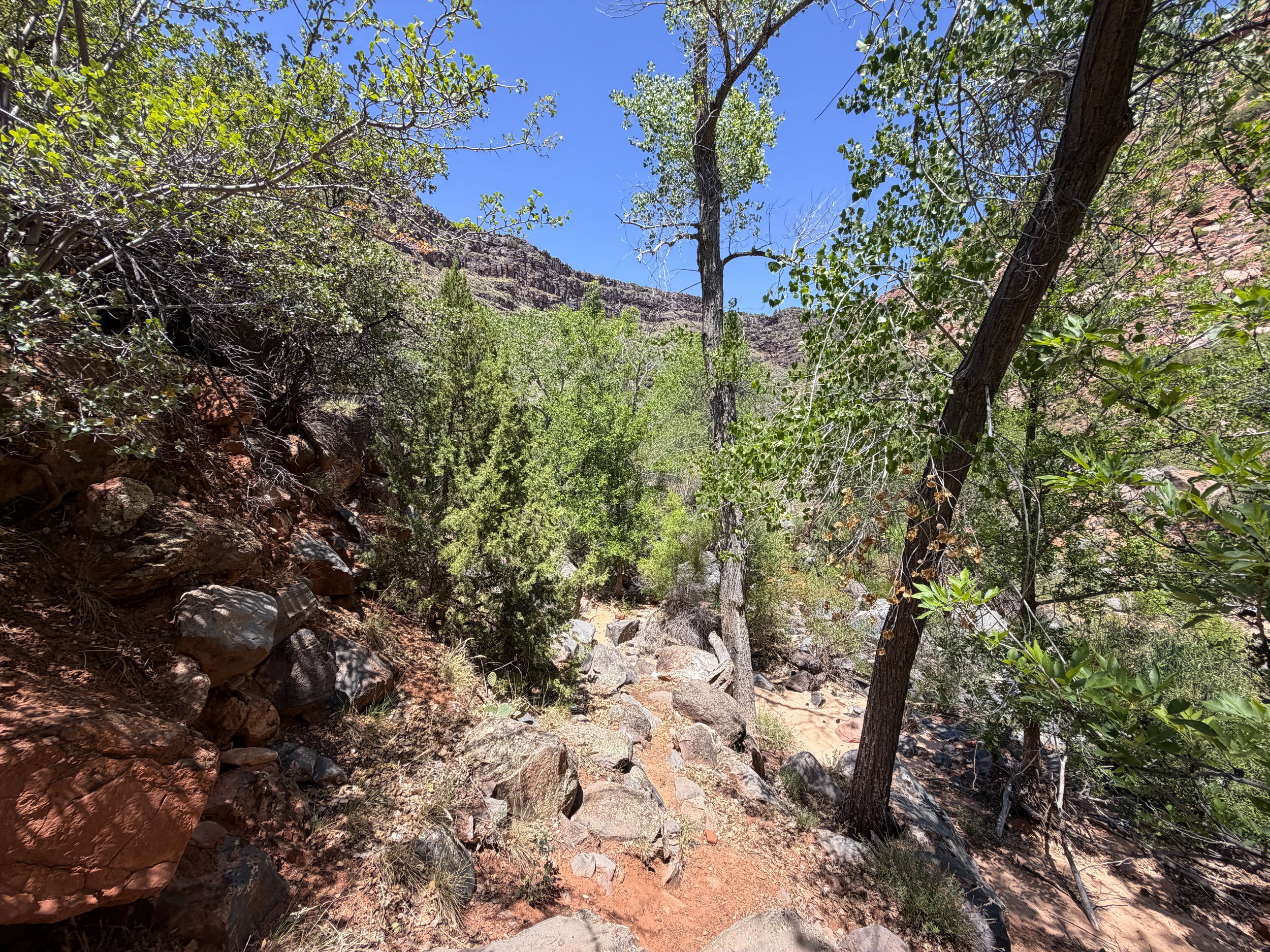 Grapevine Trail to Left Fork Falls Zion National Park Utah