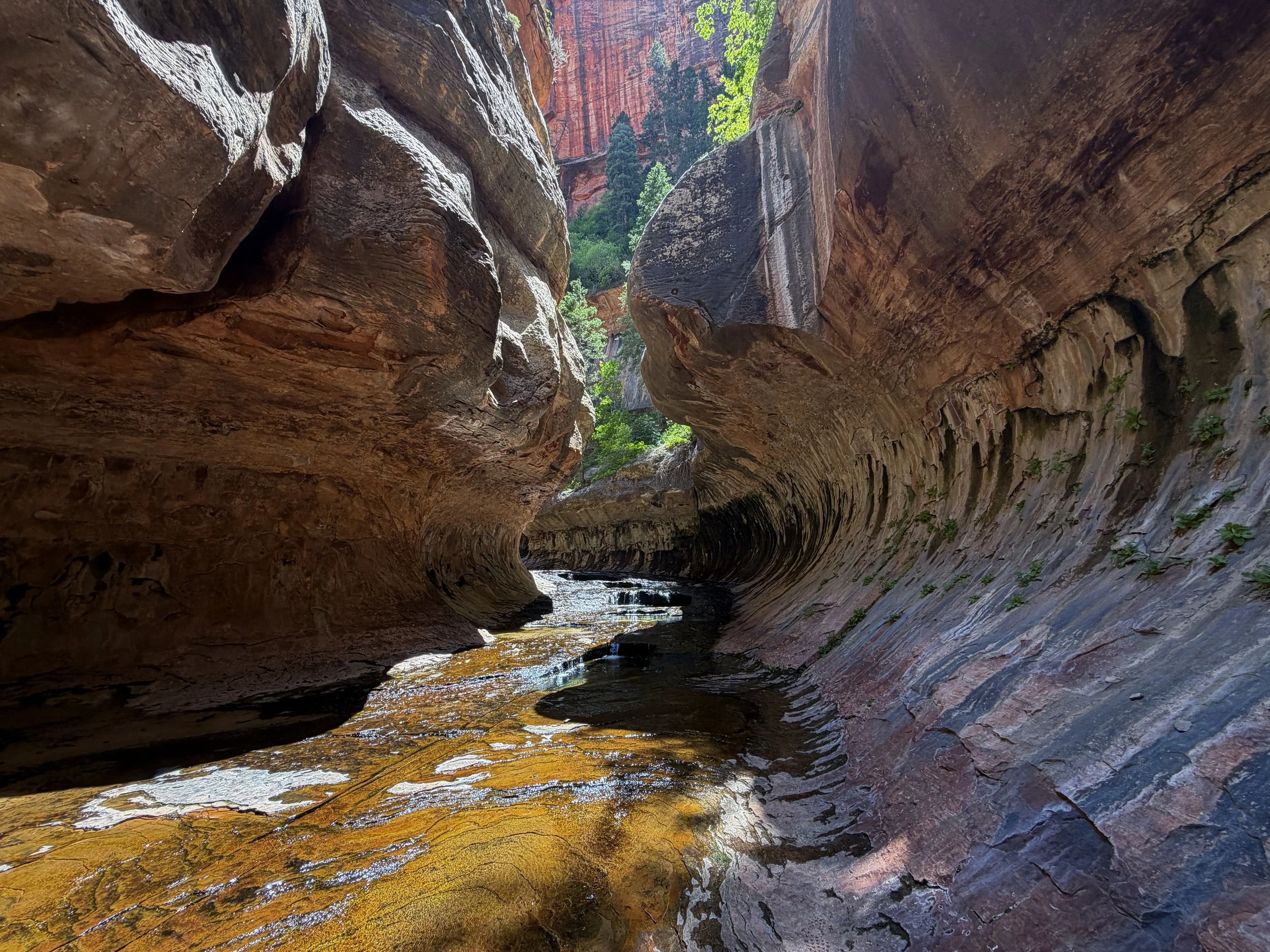 Subway Zion National Park Utah