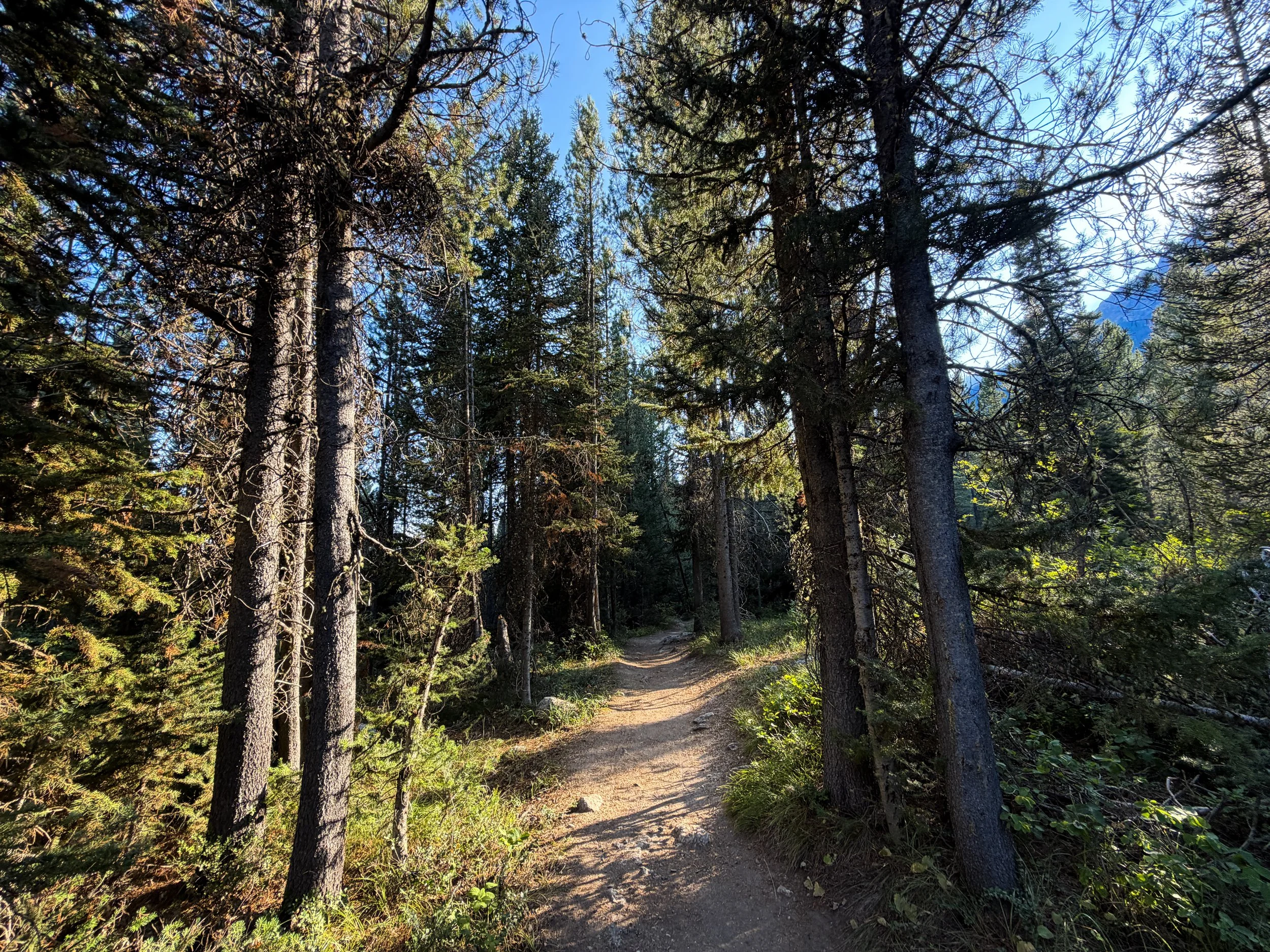 Moose Ponds Loop Trail Grand Teton National Park Wyoming