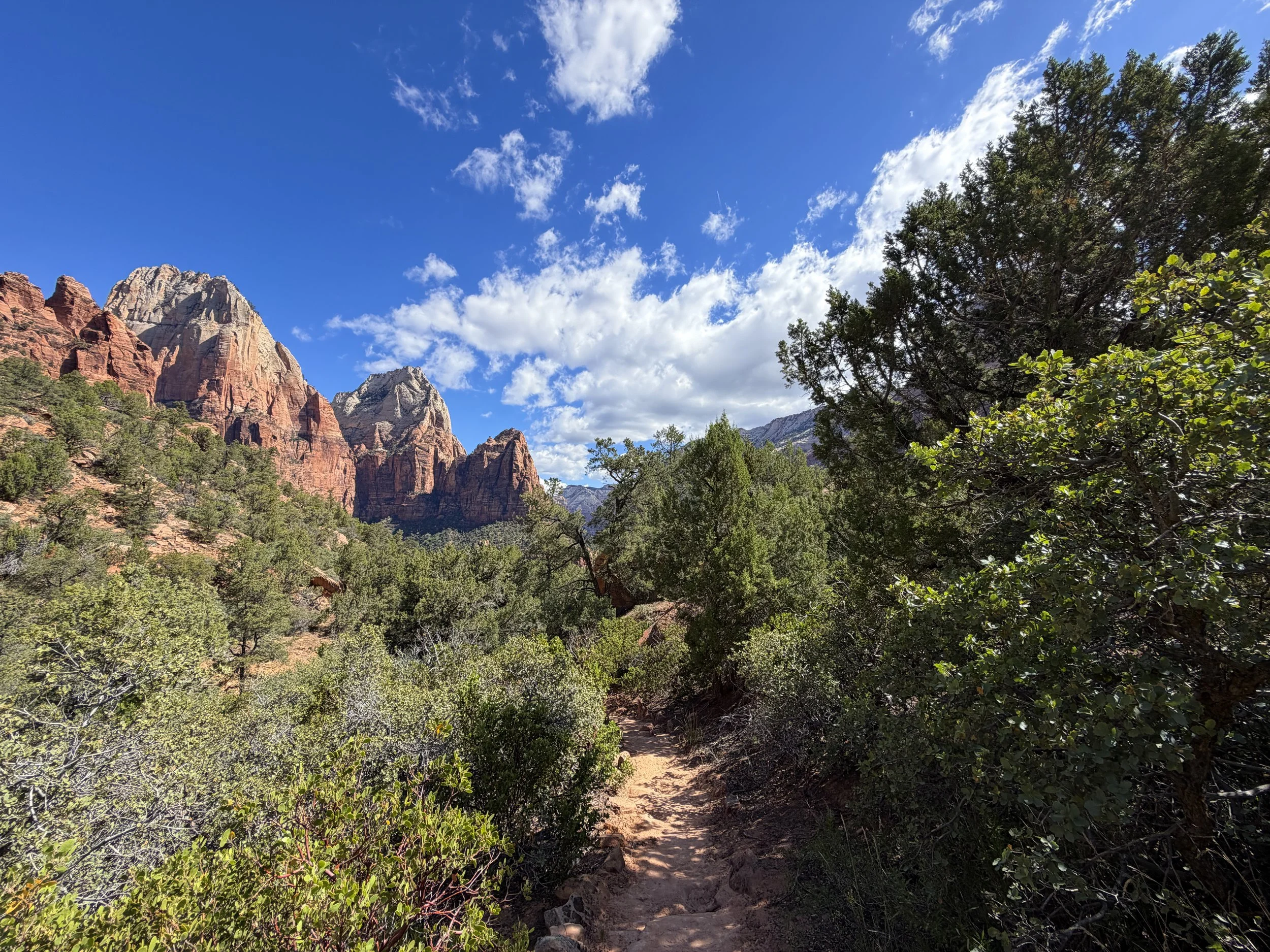 Sand Bench Loop Trail Zion National Park Utah