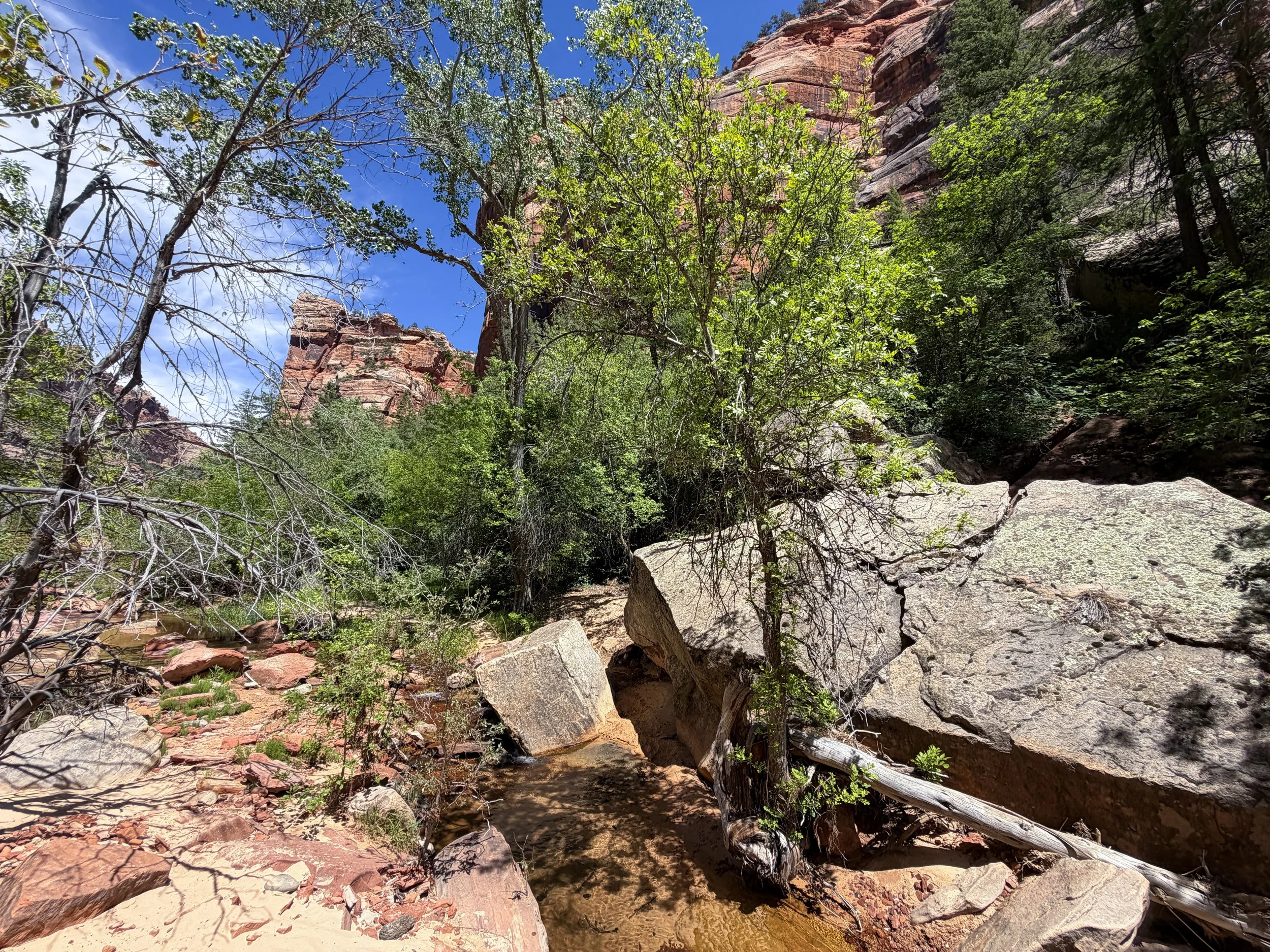 Left Fork Trail to the Subway Zion National Park Utah