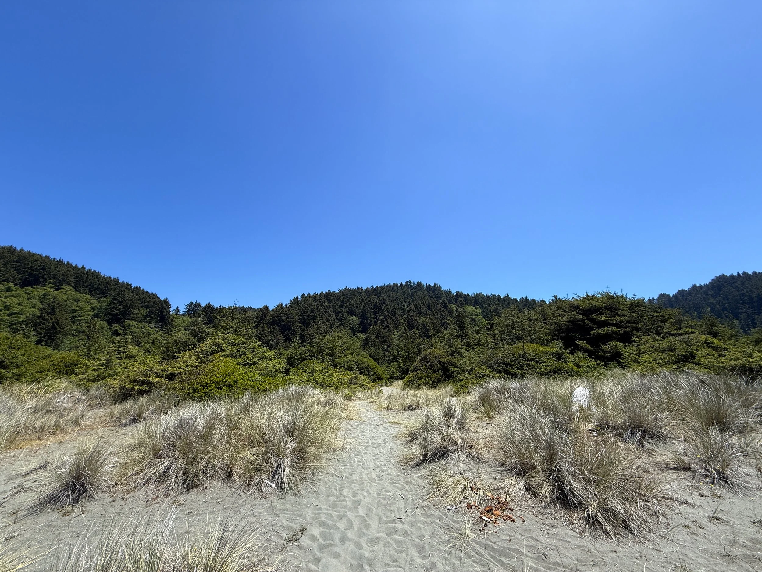 Gold Bluffs Beach Ossagon Trail Prairie Creek Redwoods State Park California