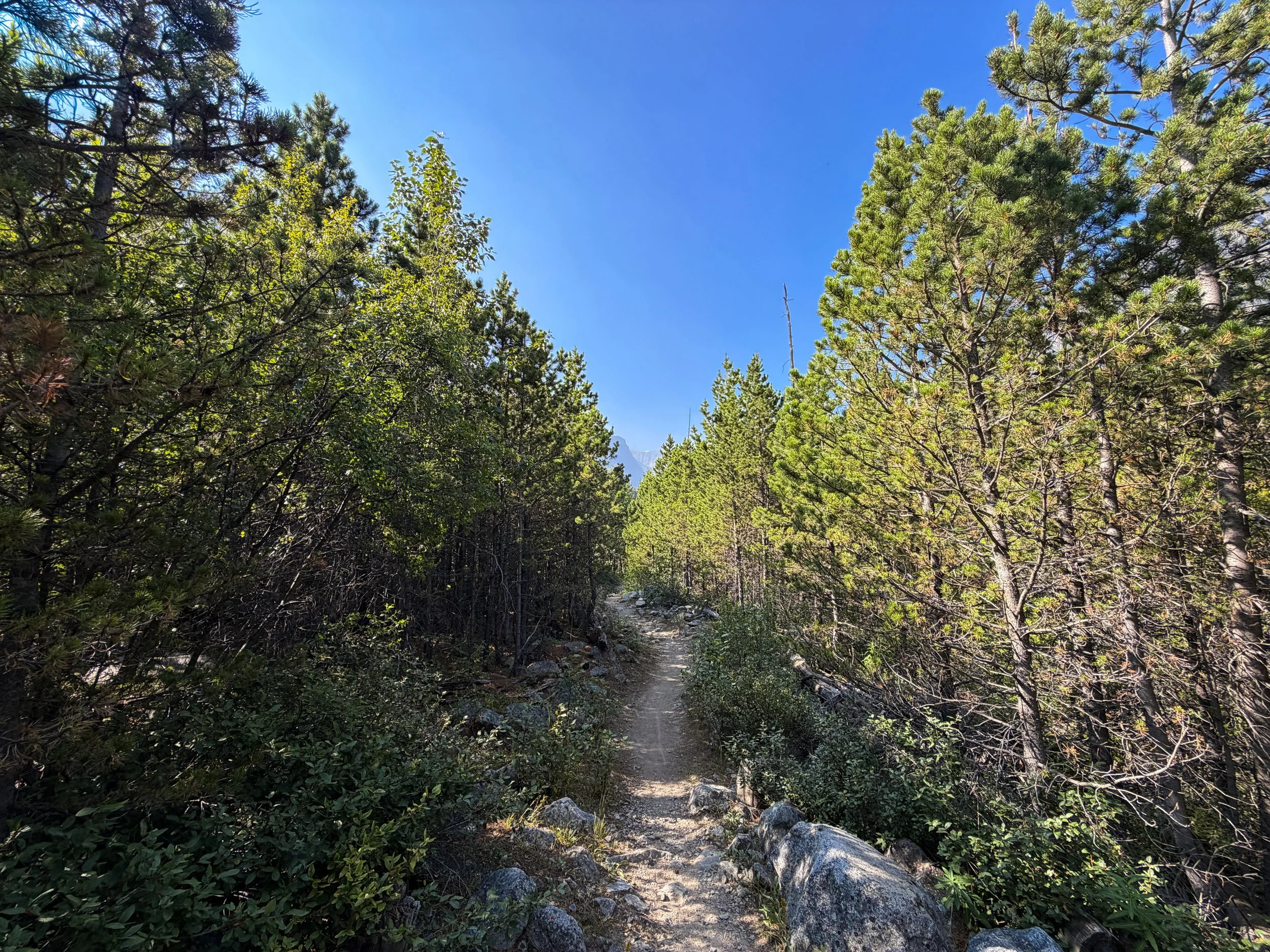 East Rosebud Trail Beartooth Mountains Montana