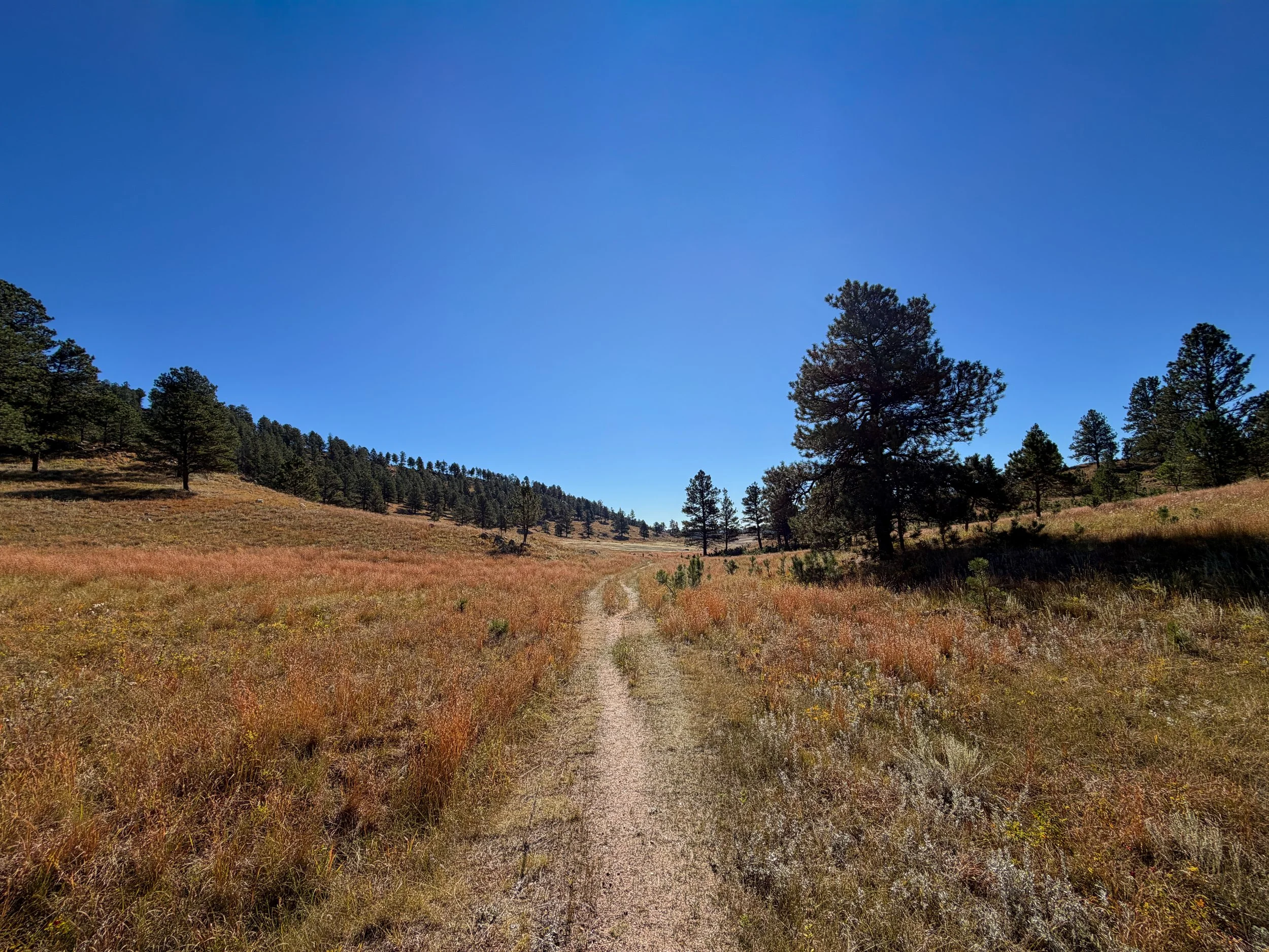 Sanctuary Hike Wind Cave National Park South Dakota