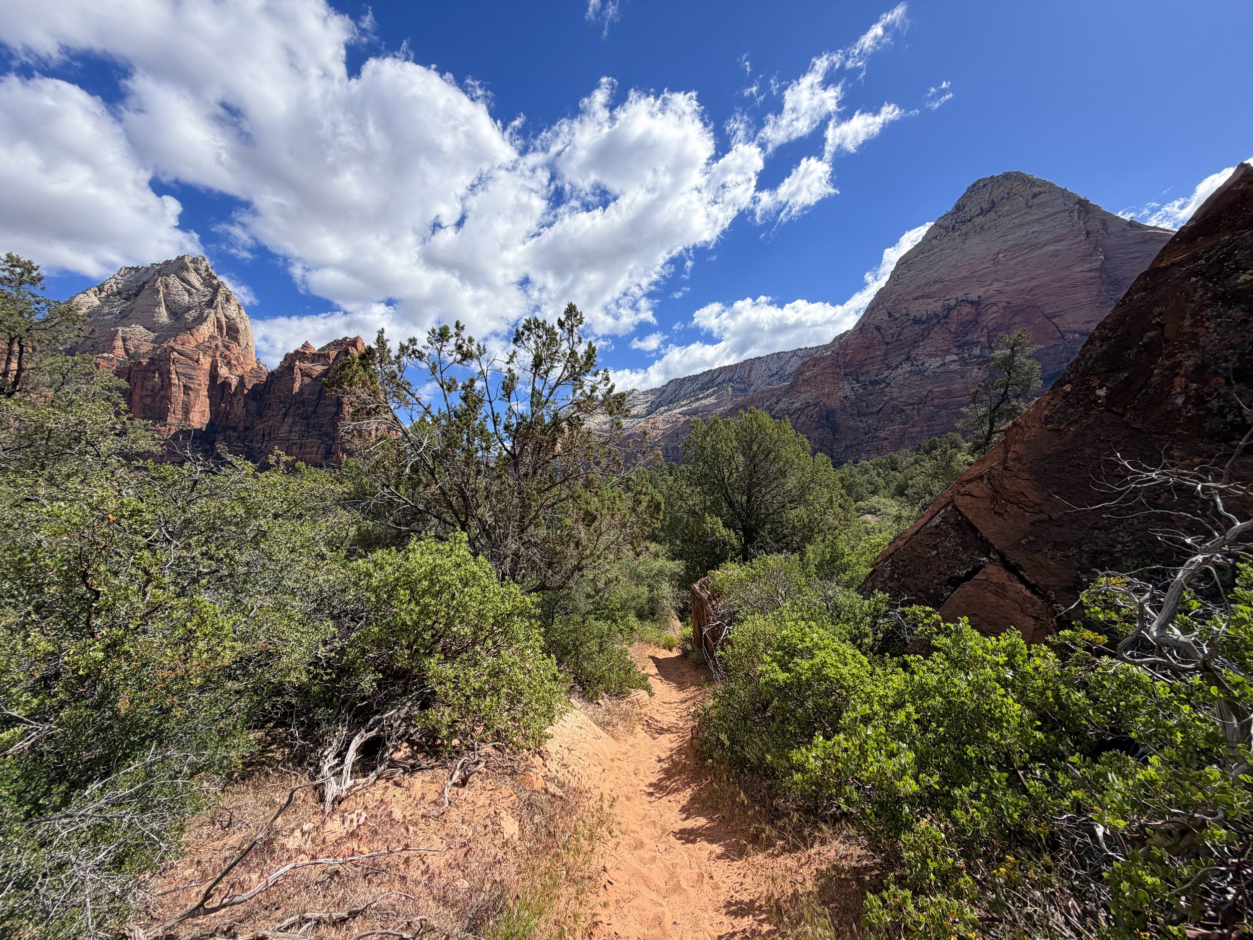 Sand Bench Loop Trail Zion National Park Utah
