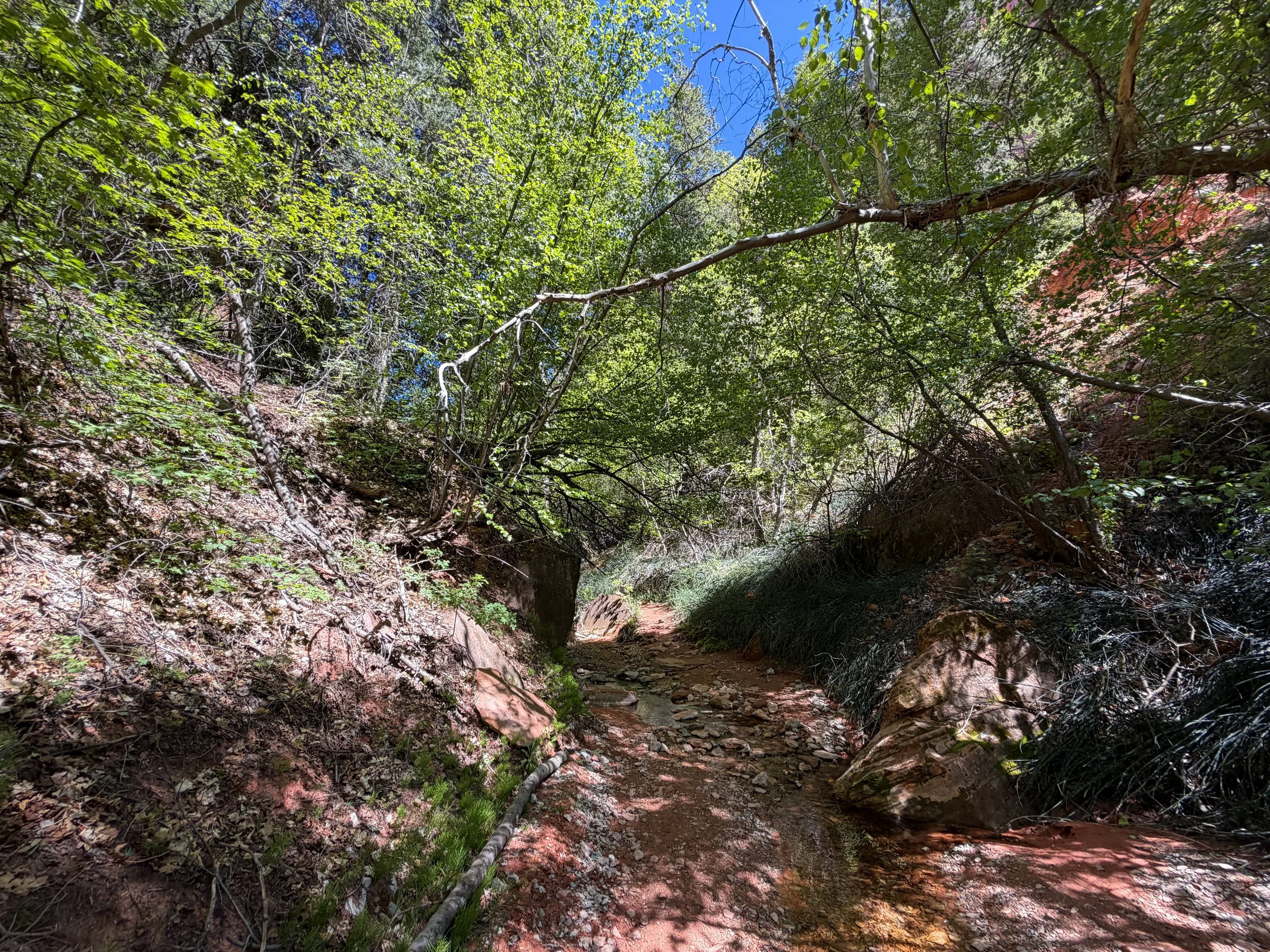 Taylor Creek Trail Zion National Park Utah