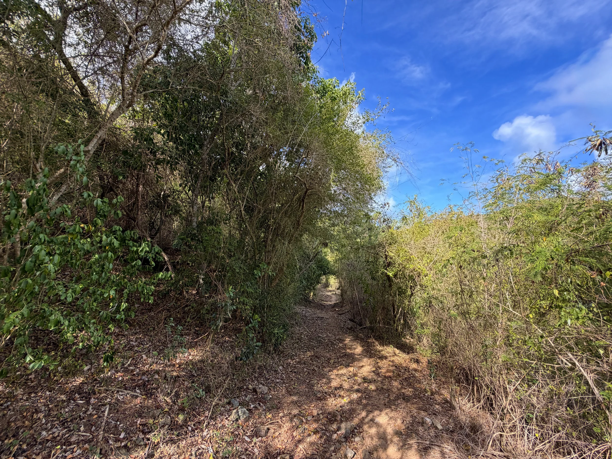 Brown Bay Hike Virgin Islands National Park