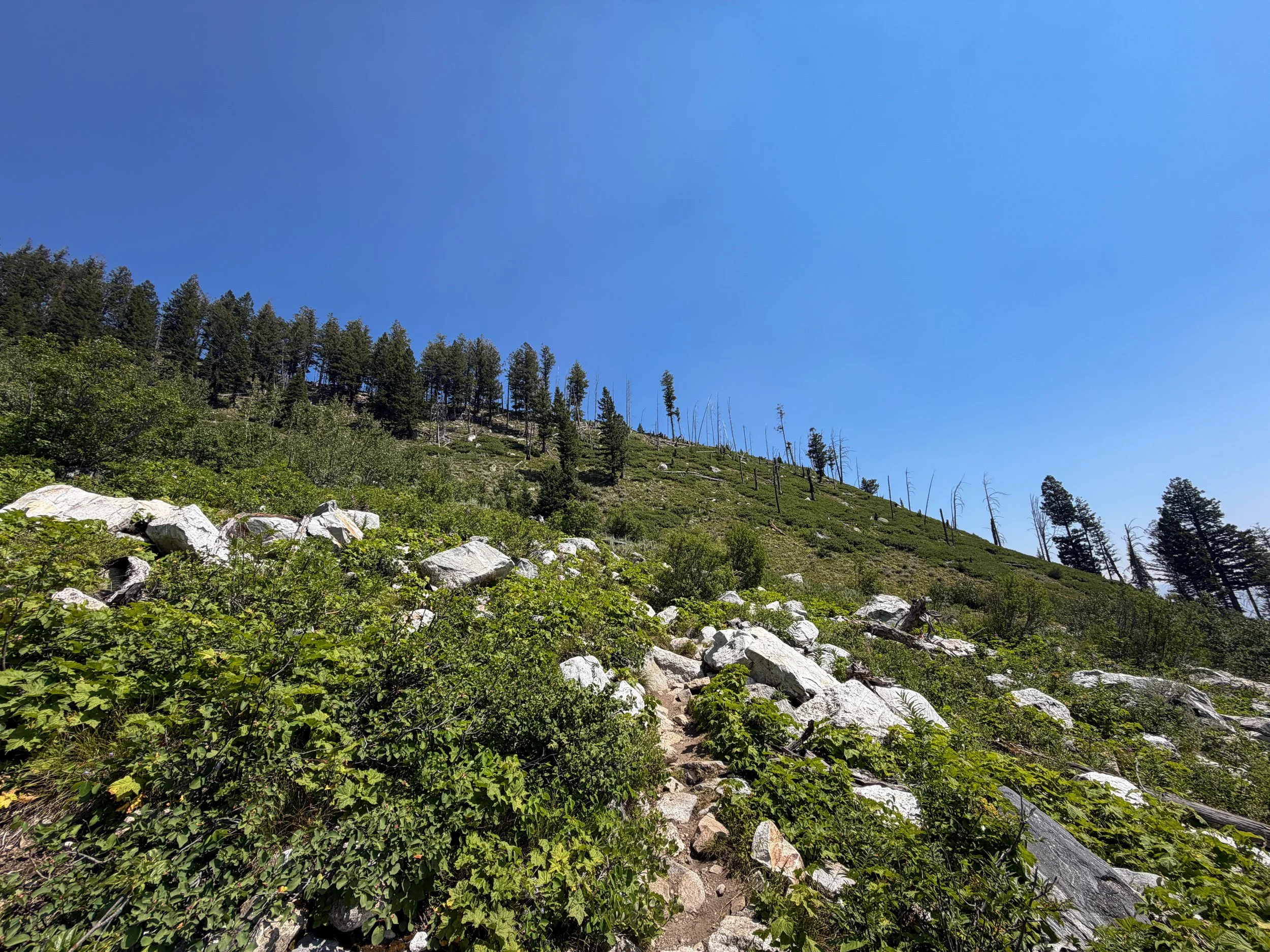 Lake of the Crags Hike Grand Teton National Park Wyoming
