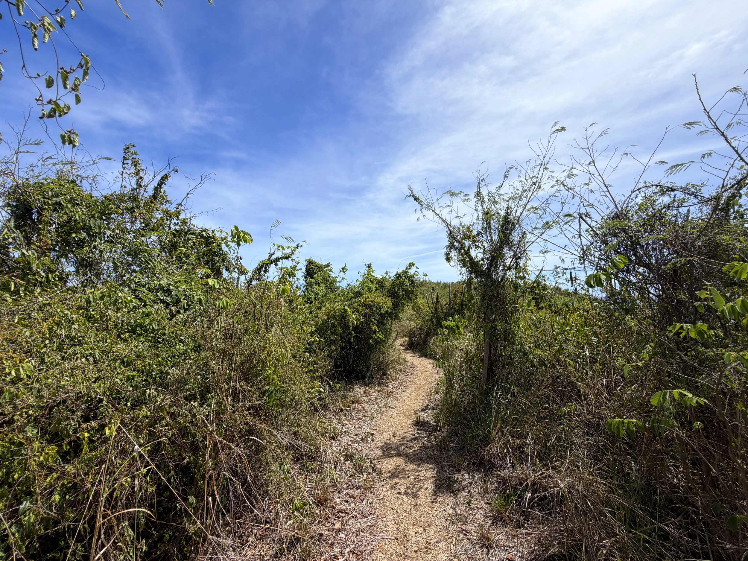 Yawzi Point Trail Virgin Islands National Park