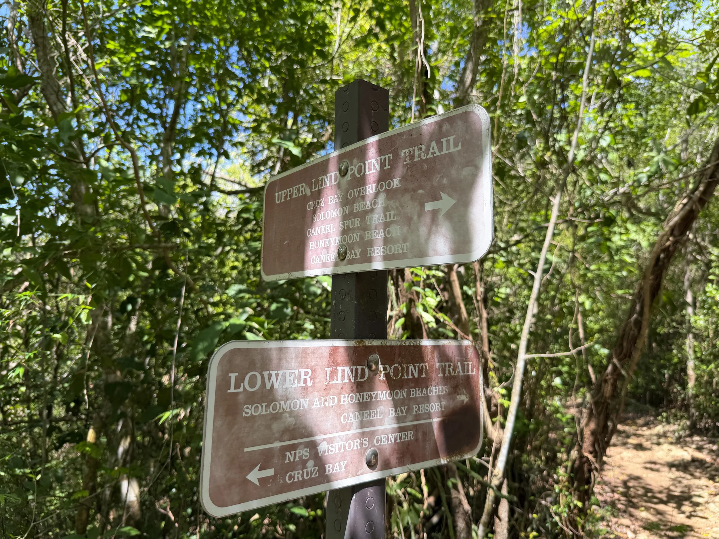 Lind Point Loop Trail Virgin Islands National Park