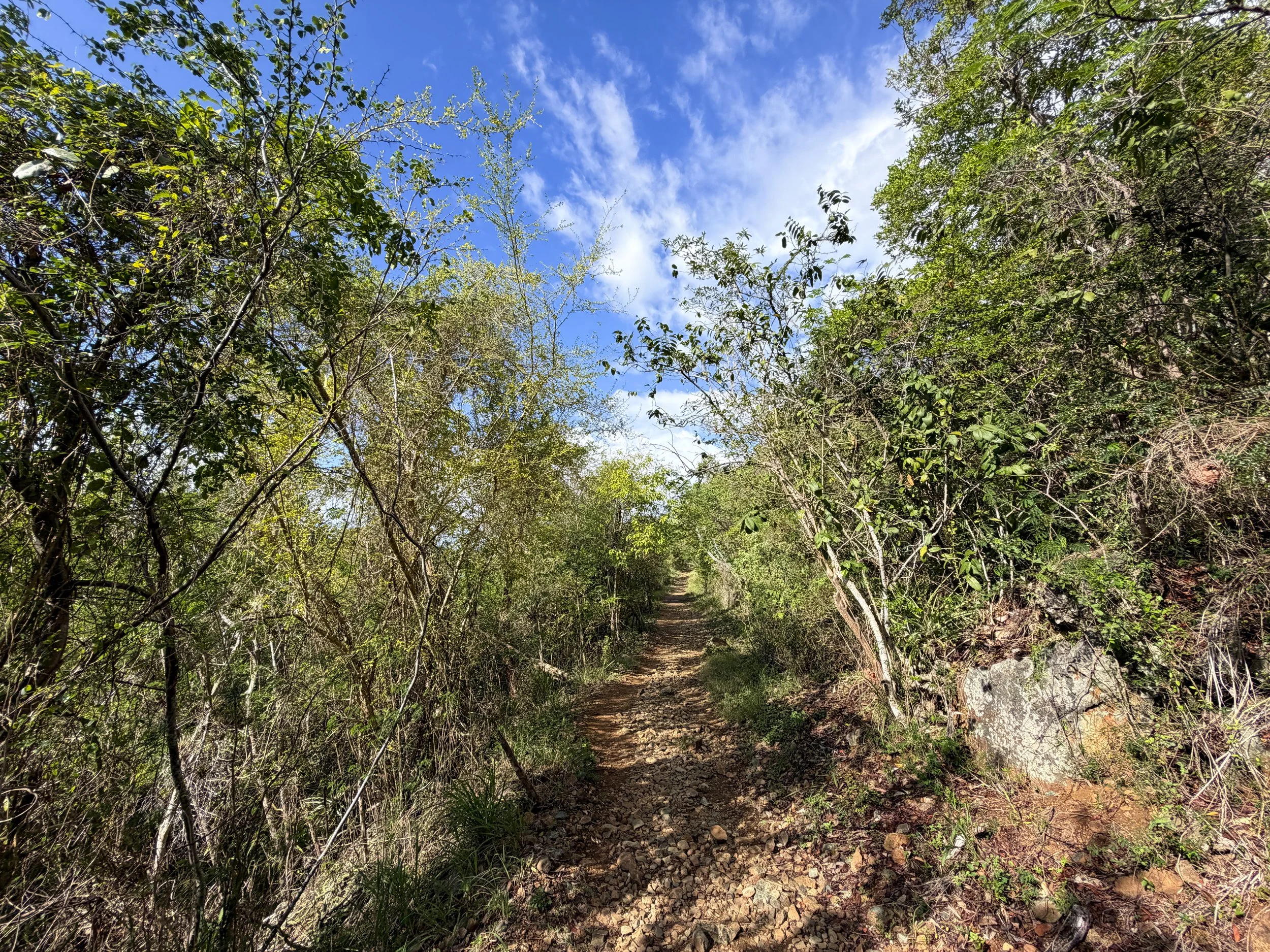 Lind Point Hike Virgin Islands National Park