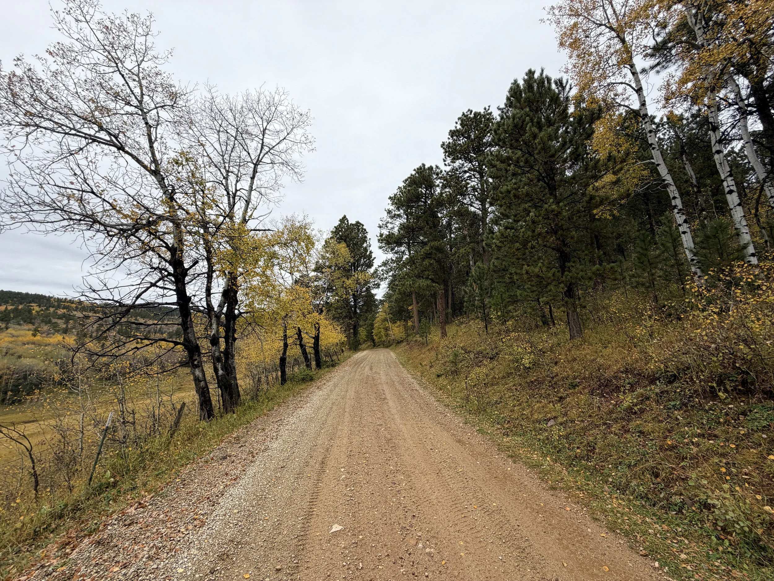 Custer Peak Trail Black Hills South Dakota