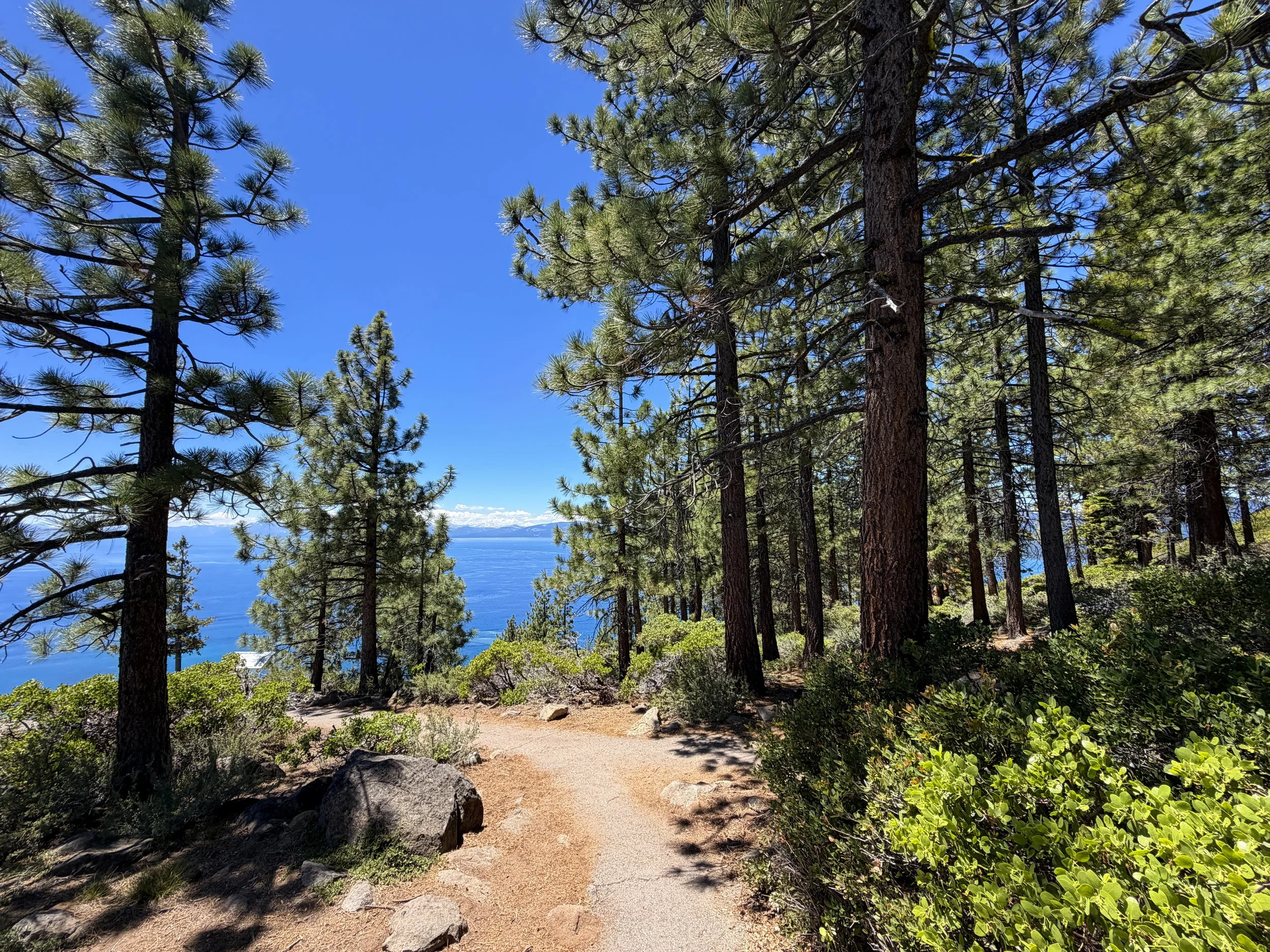 Stateline Lookout Trail Lake Tahoe California
