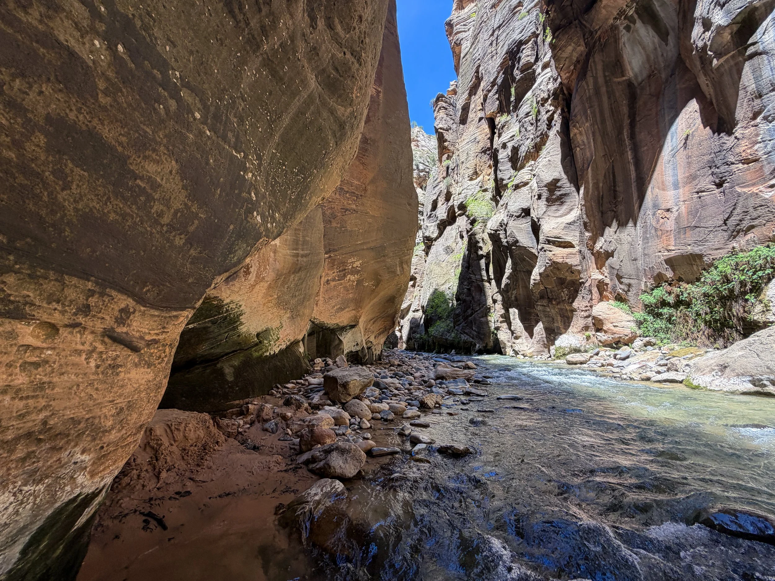 The Narrows Zion National Park Utah